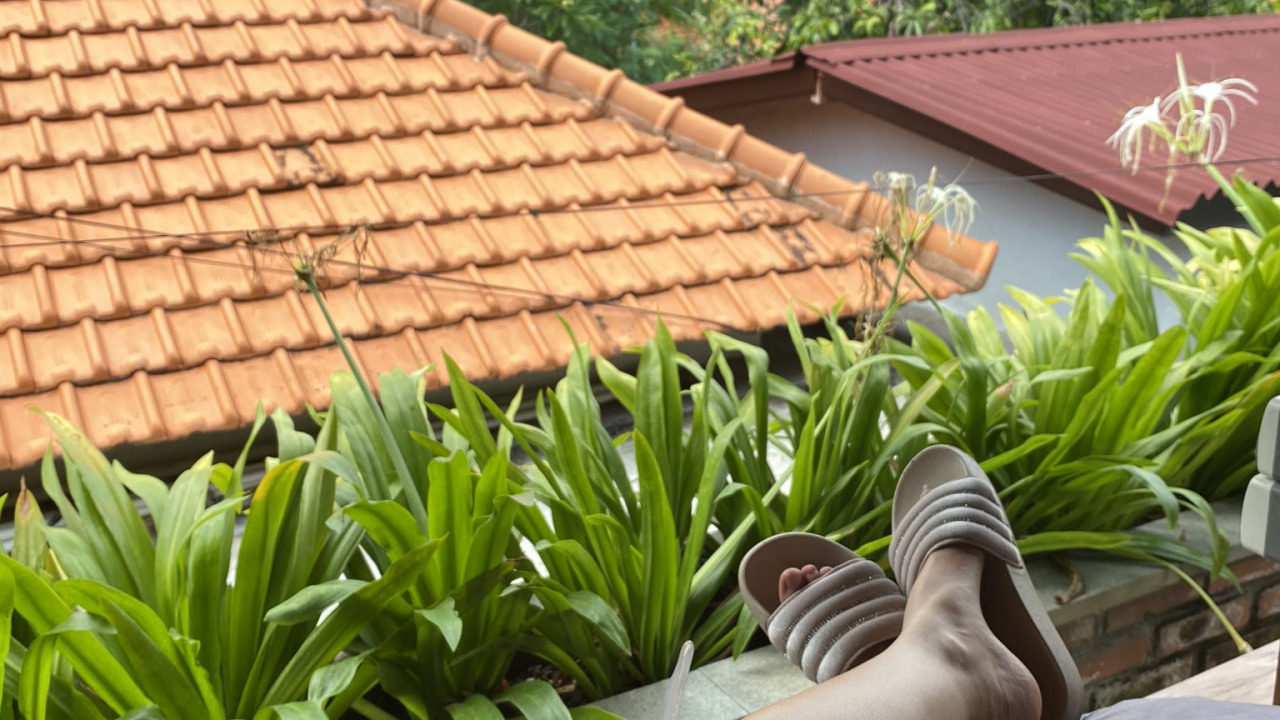 Flora, Roof, Slipper, Foot, Daylighting. Wallpaper in 1280x720 Resolution