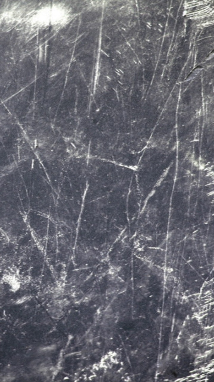 Arbres à Feuilles Blanches et Violettes. Wallpaper in 720x1280 Resolution