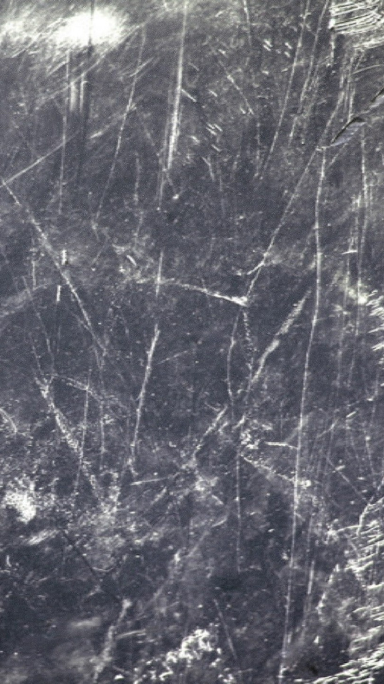 Árboles de Hojas Blancas y Moradas. Wallpaper in 750x1334 Resolution