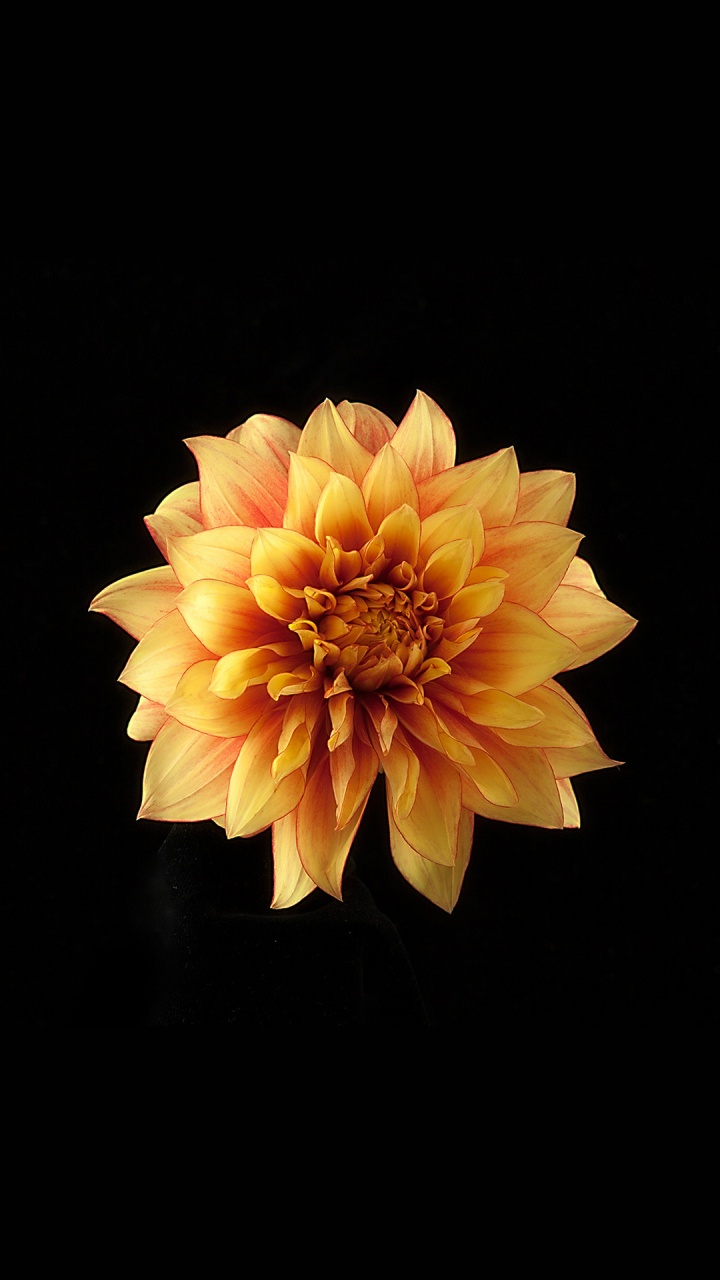 Xiaomi, Xiaomi Redmi 6 Pro, Xiaomi Redmi Note 4, Redmi Note 6 Pro, Redmi Note 5. Wallpaper in 720x1280 Resolution