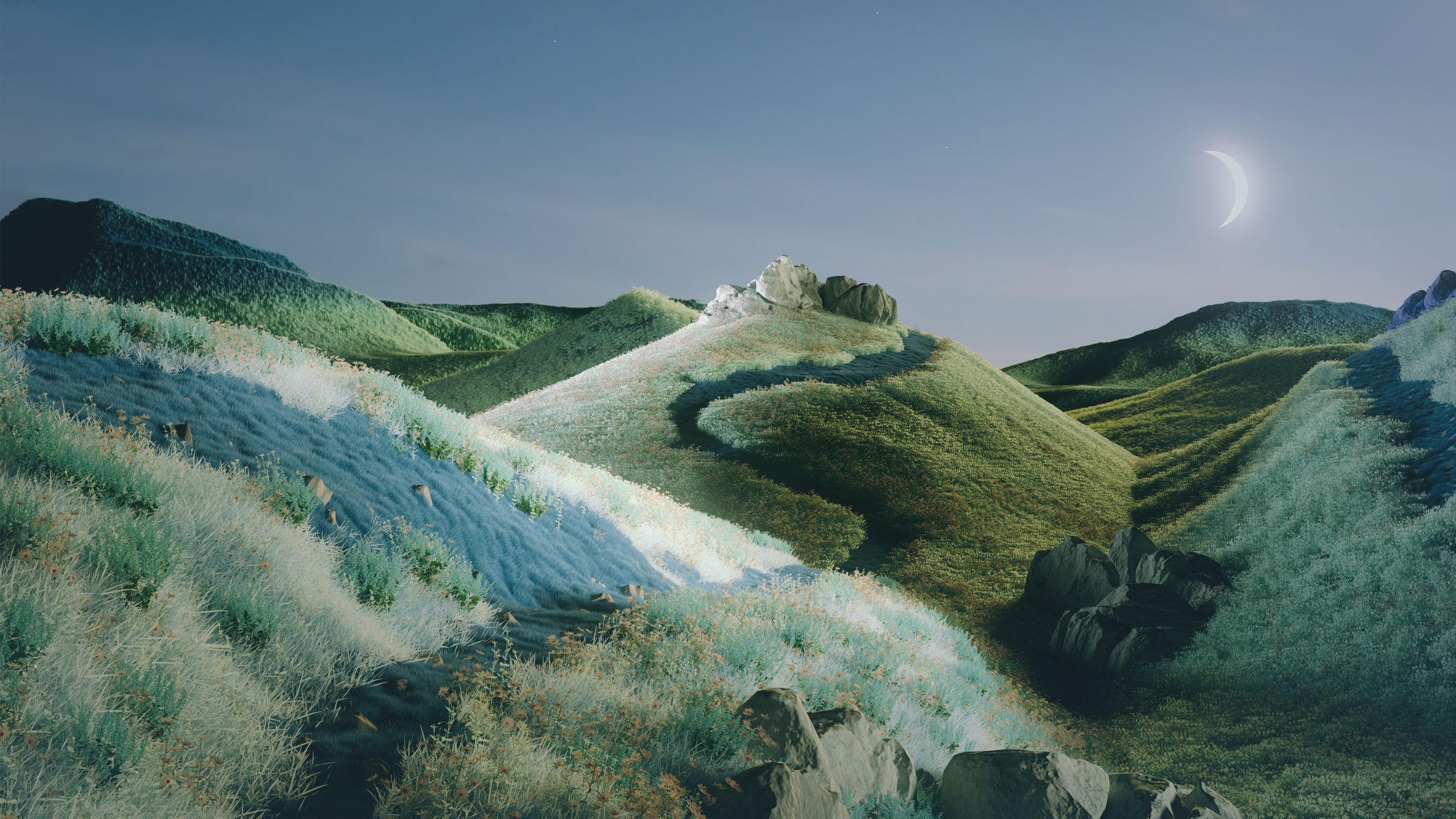 Ventanas 365, Microsoft Corporation, Ventanas 11, Microsoft 365, Microsoft Windows. Wallpaper in 2560x1440 Resolution