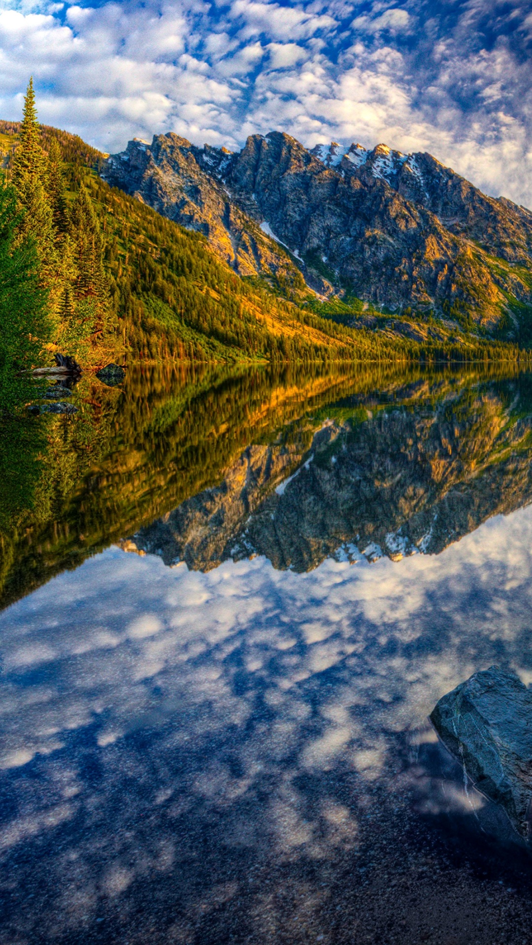 Arbres Verts Près du Lac Pendant la Journée. Wallpaper in 1080x1920 Resolution