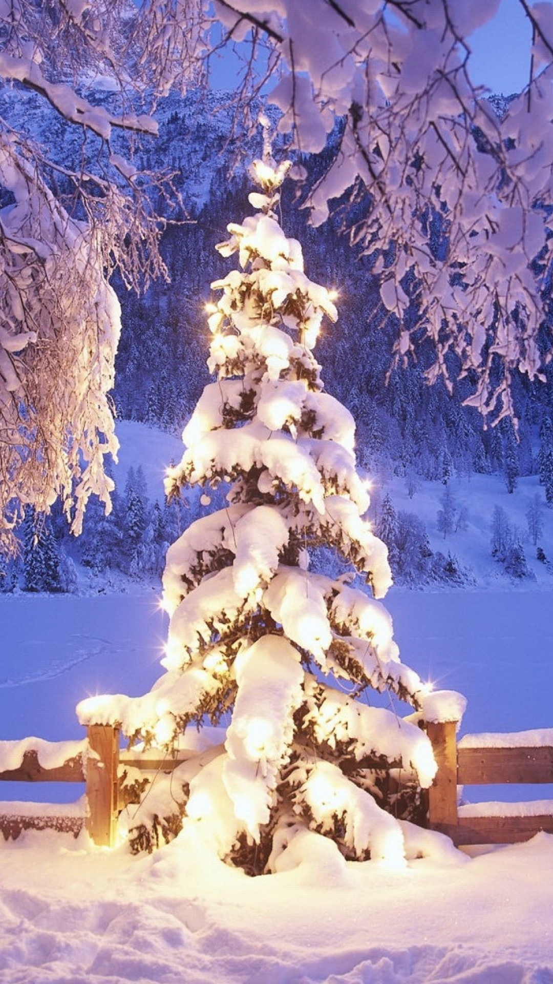 Snow Covered Trees During Daytime. Wallpaper in 1080x1920 Resolution