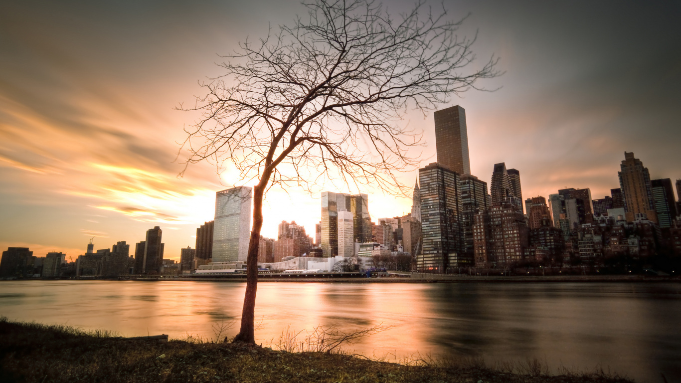 Bare Trees Near Body of Water During Daytime. Wallpaper in 1366x768 Resolution