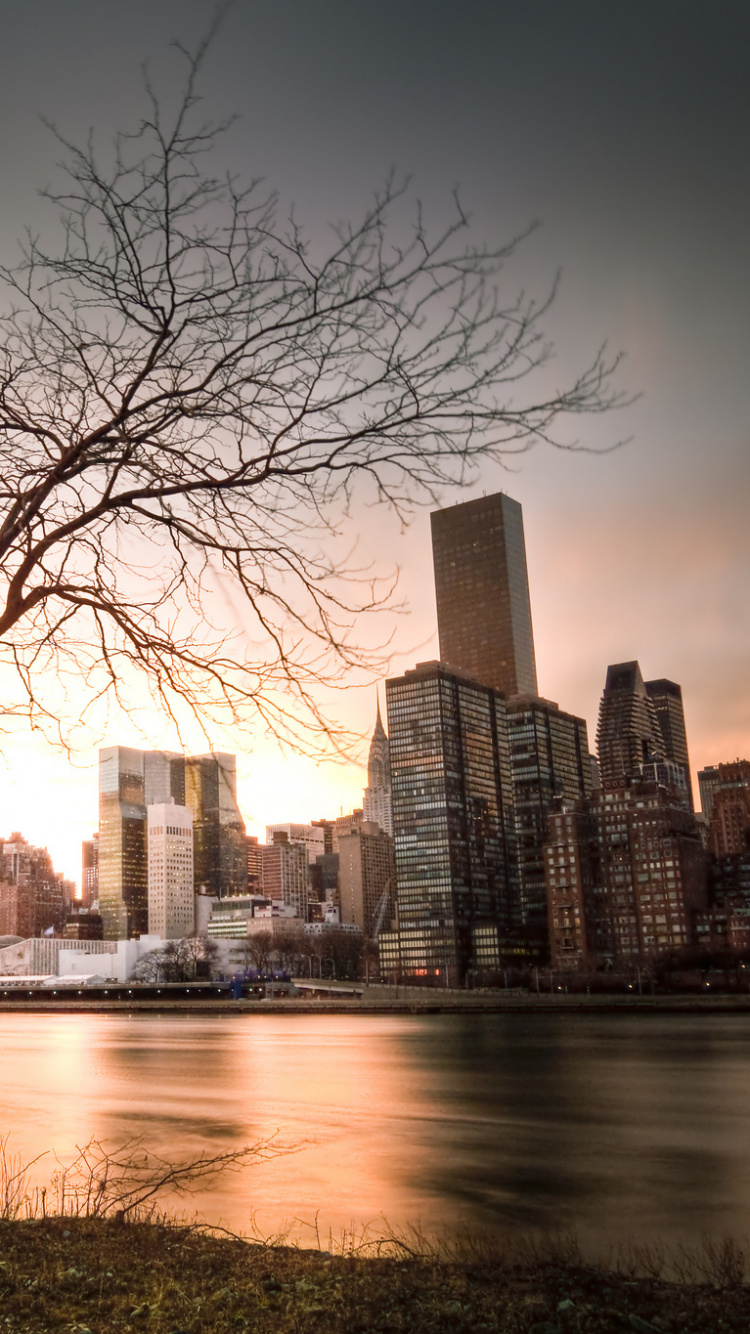 Arbres Nus Près D'un Plan D'eau Pendant la Journée. Wallpaper in 750x1334 Resolution