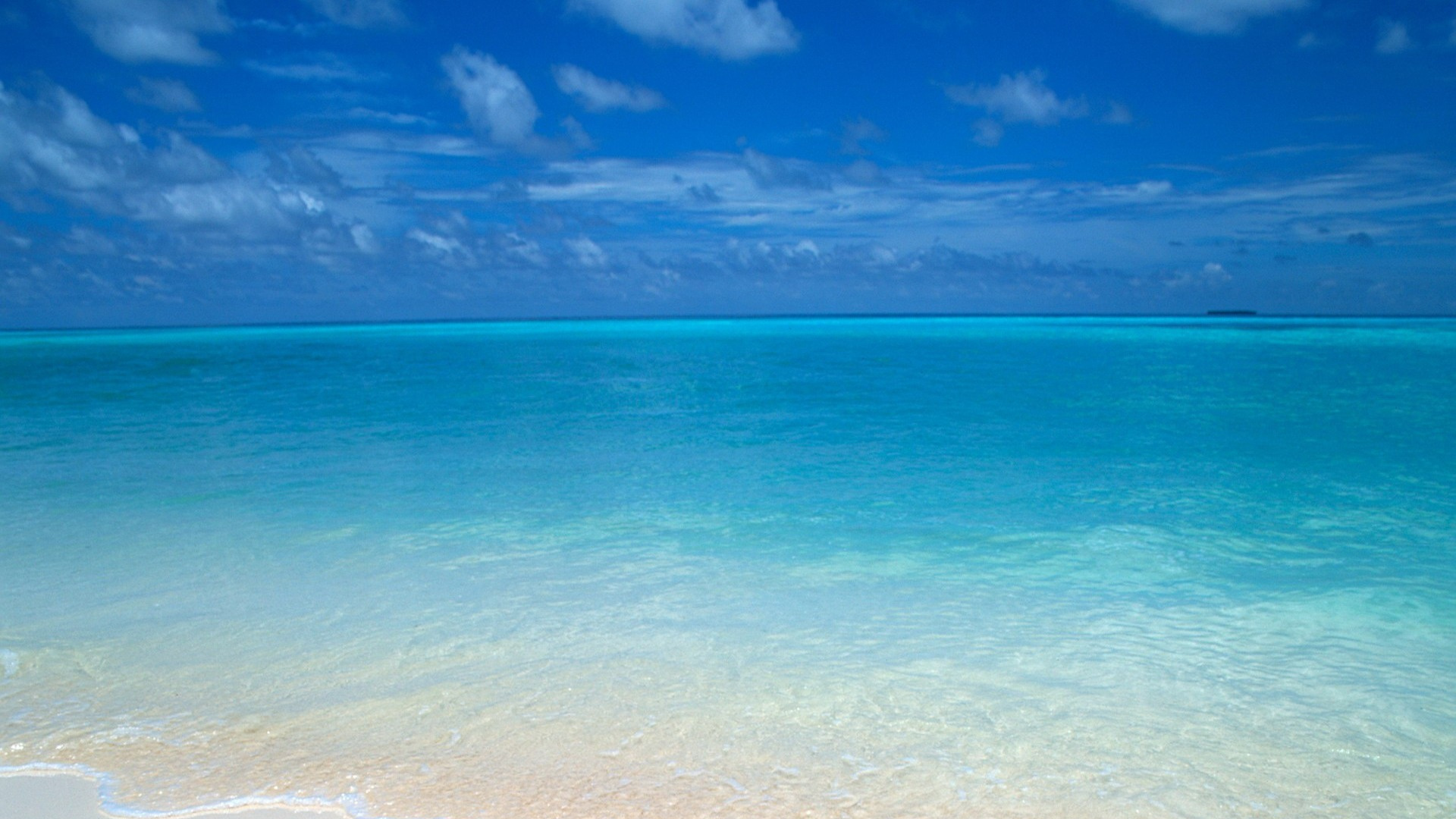 Vagues de la Mer se Brisant Sur le Rivage Pendant la Journée. Wallpaper in 1920x1080 Resolution