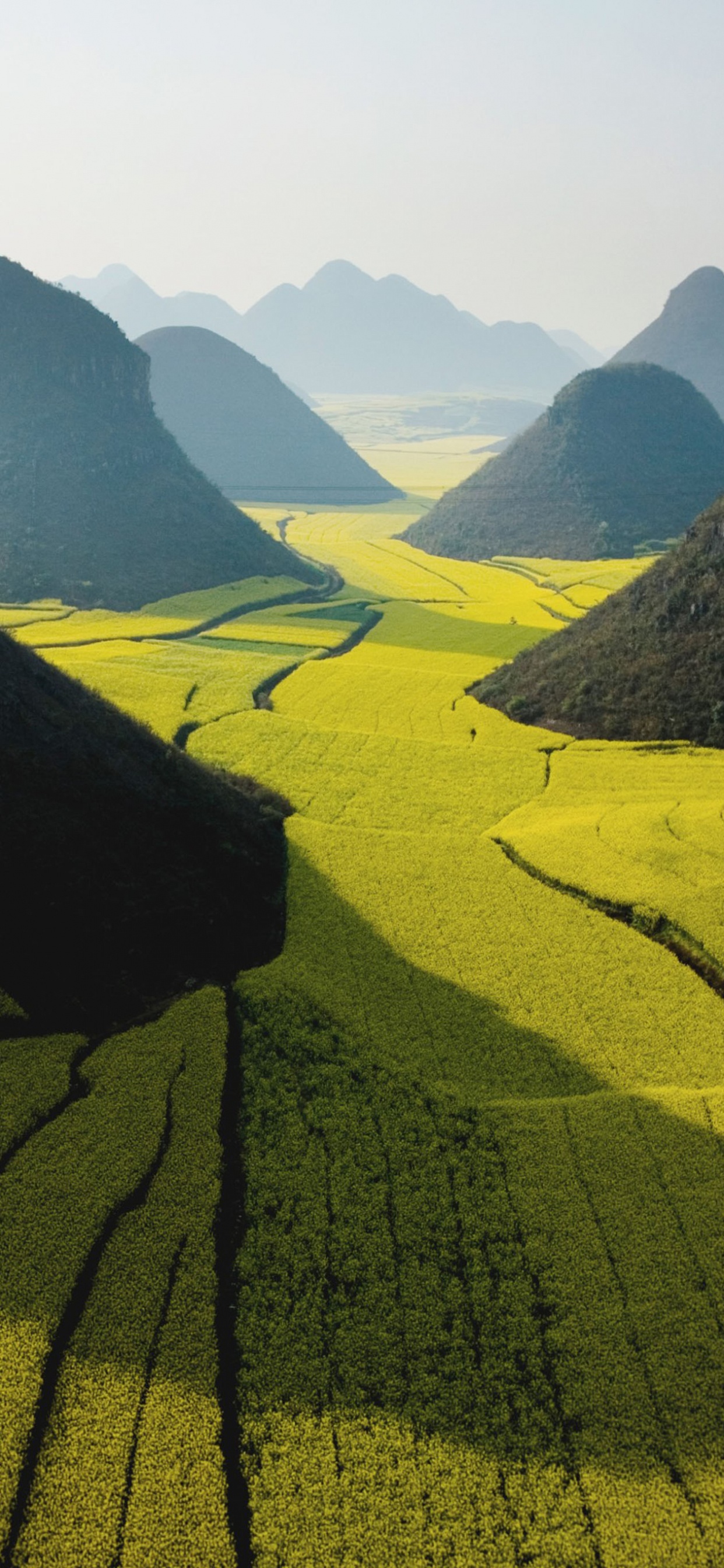 Tagsüber Grüne Wiese in Der Nähe Des Berges. Wallpaper in 1242x2688 Resolution