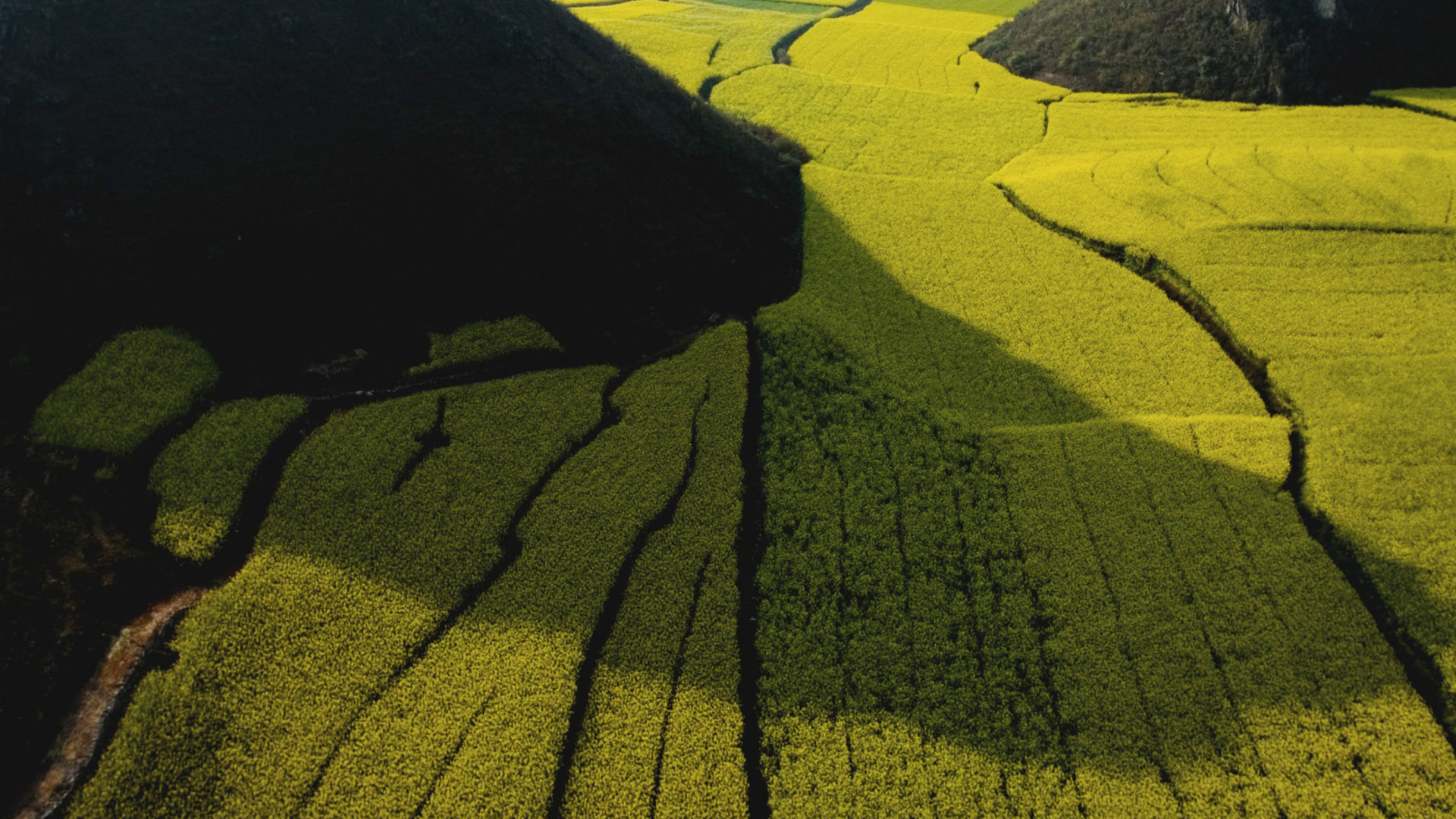 Green Grass Field Near Mountain During Daytime. Wallpaper in 1920x1080 Resolution
