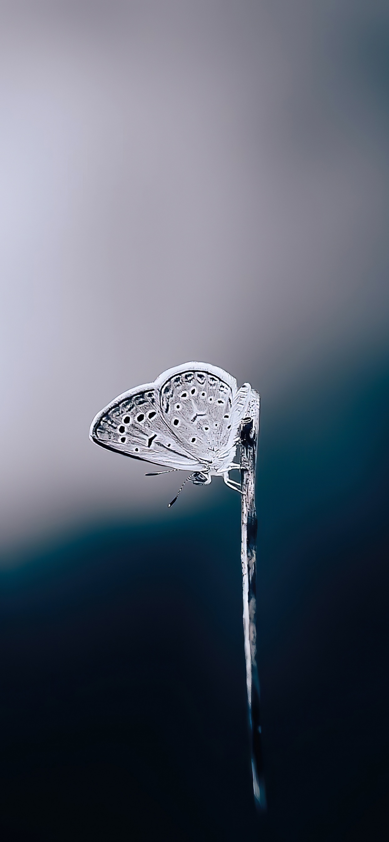 Agua, Mano, Líquido, Humedad, Arreglo de Tubería. Wallpaper in 1242x2688 Resolution