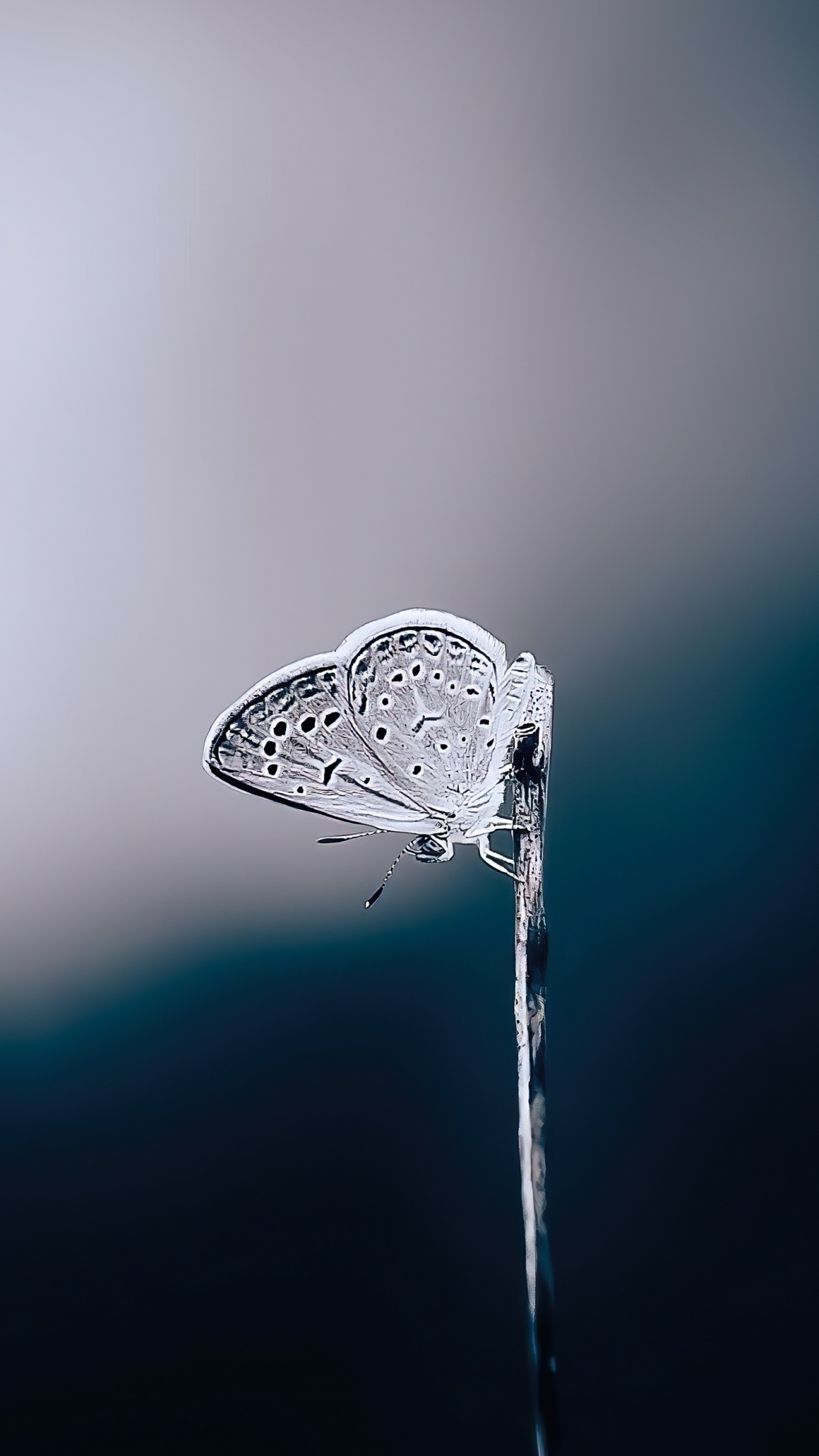 Eau, Main, Liquid, Fluide, Humidité. Wallpaper in 1080x1920 Resolution