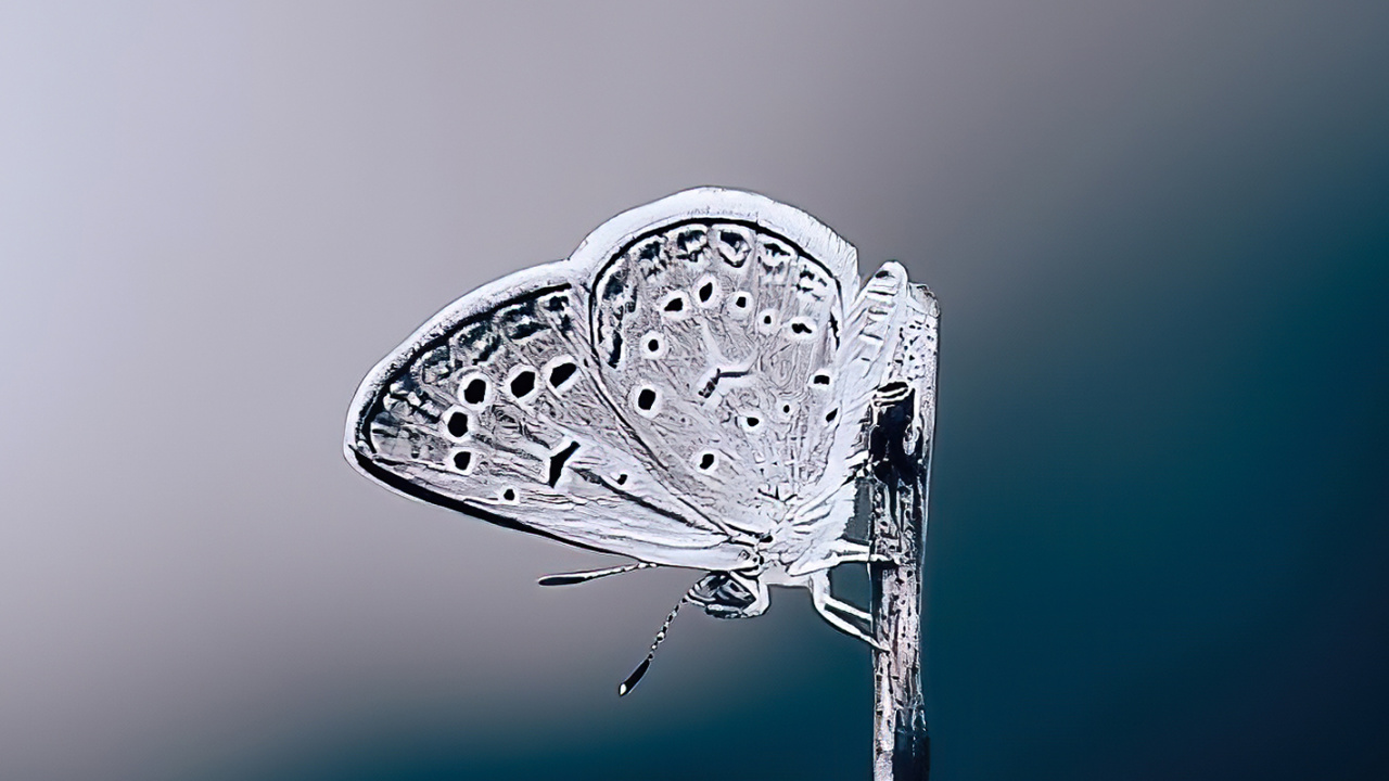 Water, Hand, Liquid, Fluid, Moisture. Wallpaper in 1280x720 Resolution