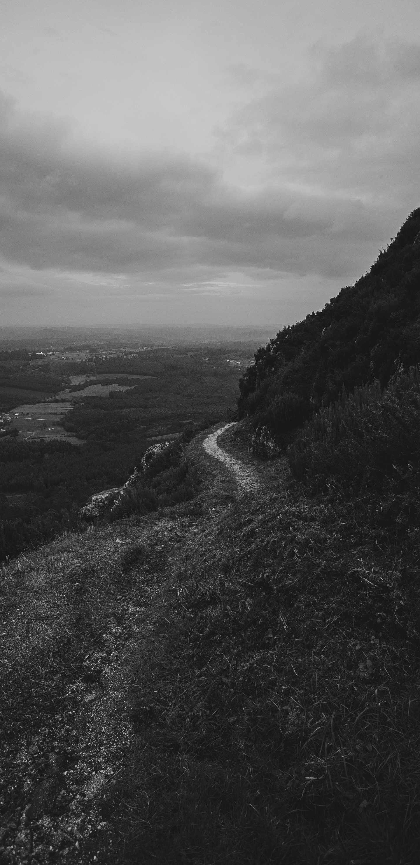 Highland, Blanco, Negro, Mar, Costa. Wallpaper in 1440x2960 Resolution