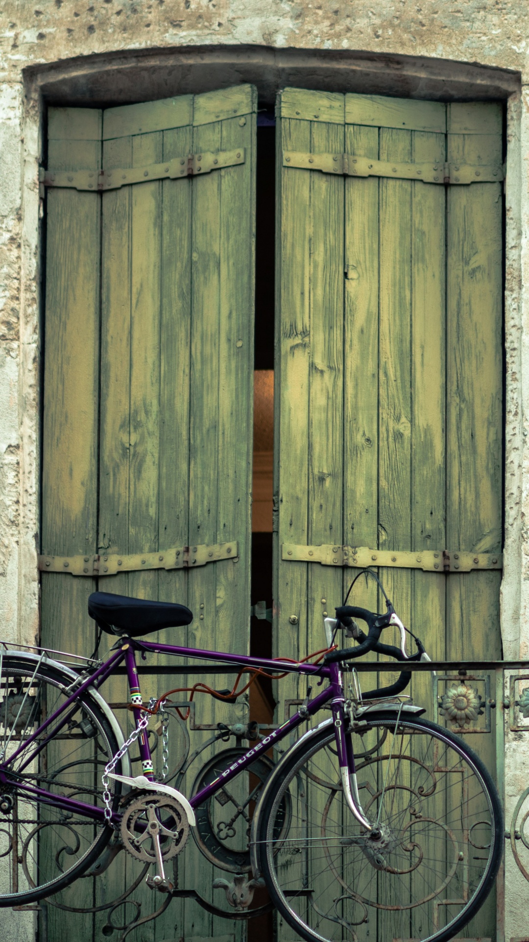 Bicicleta de Ciudad Negra Estacionada Junto a la Puerta de Madera Marrón. Wallpaper in 1080x1920 Resolution