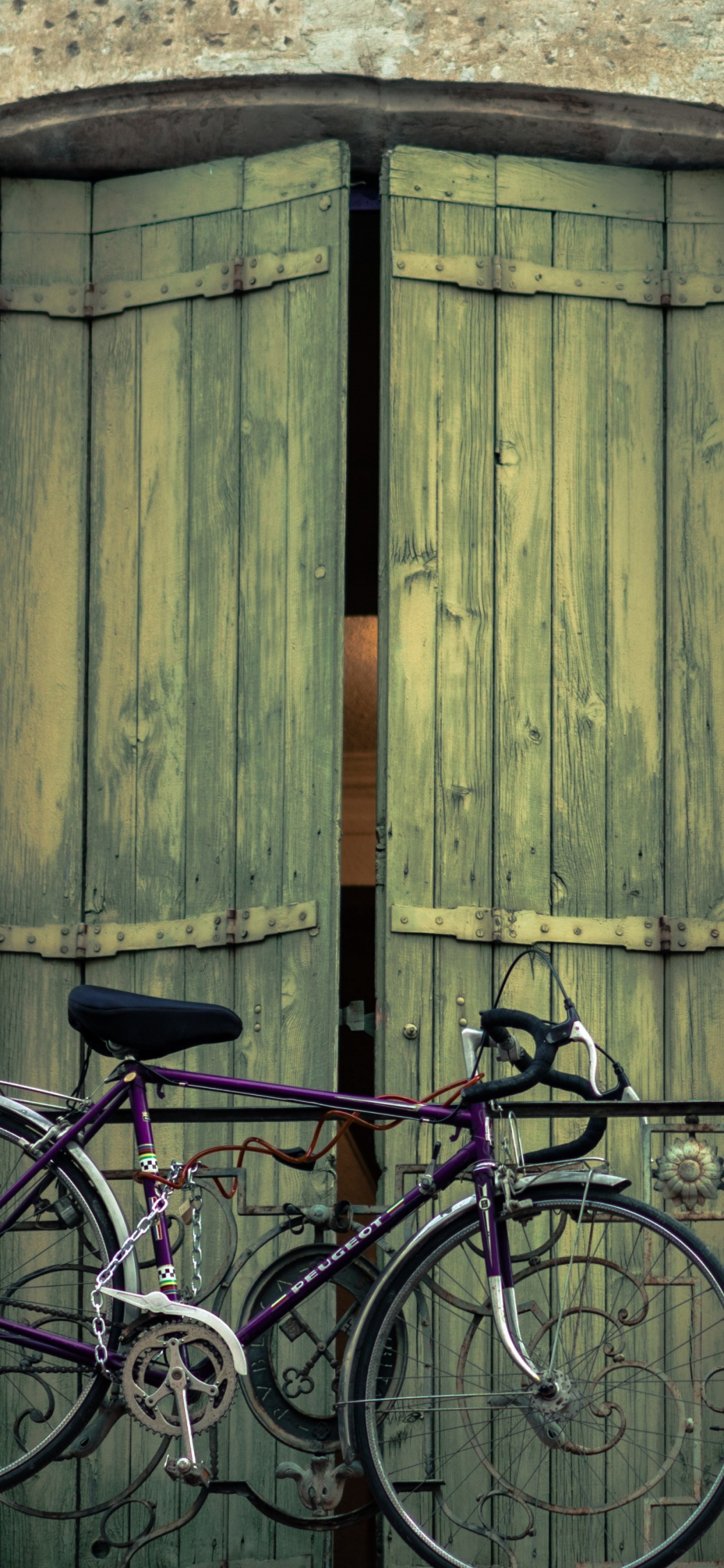 Bicicleta de Ciudad Negra Estacionada Junto a la Puerta de Madera Marrón. Wallpaper in 1125x2436 Resolution