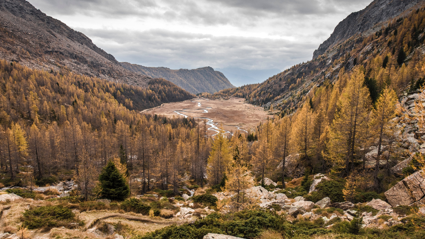 Automne Sombre, Nature, L'écorégion, Paysage Naturel, Feuille. Wallpaper in 1366x768 Resolution