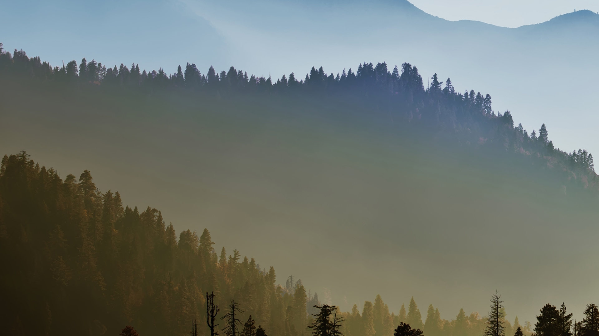 Mountain, Mountain Range, Atmosphere, Tree, Nature. Wallpaper in 1920x1080 Resolution