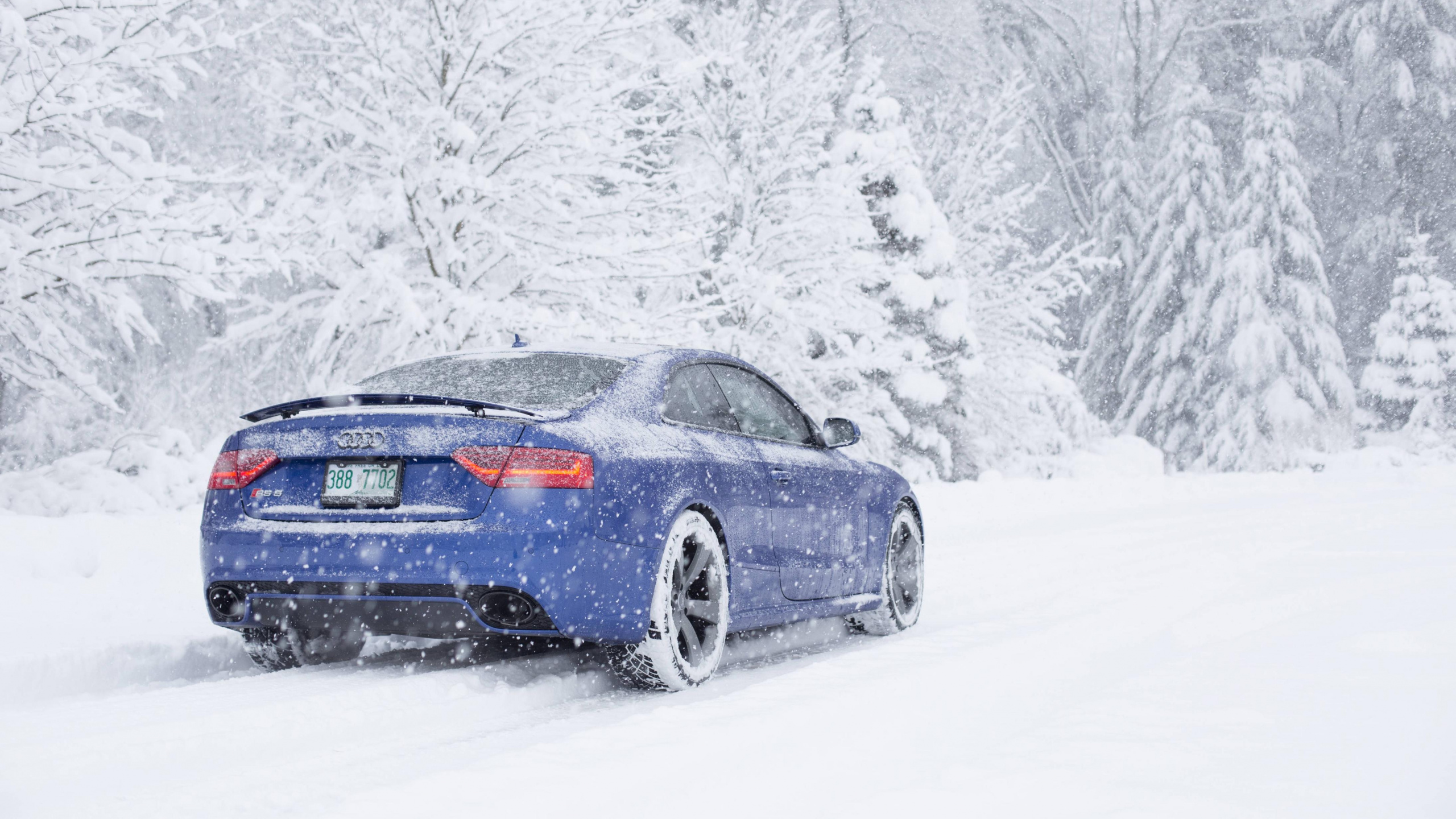 Porsche 911 Noire Sur Sol Couvert de Neige. Wallpaper in 2560x1440 Resolution