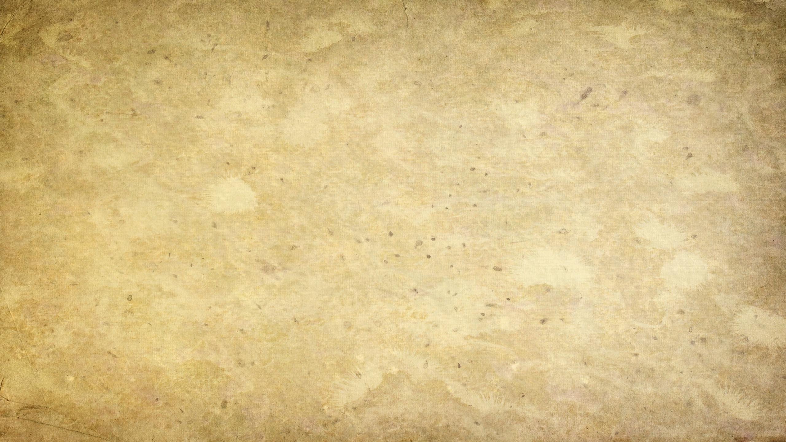 Personne en Chaussures Noires Debout Sur Sol Marron. Wallpaper in 2560x1440 Resolution