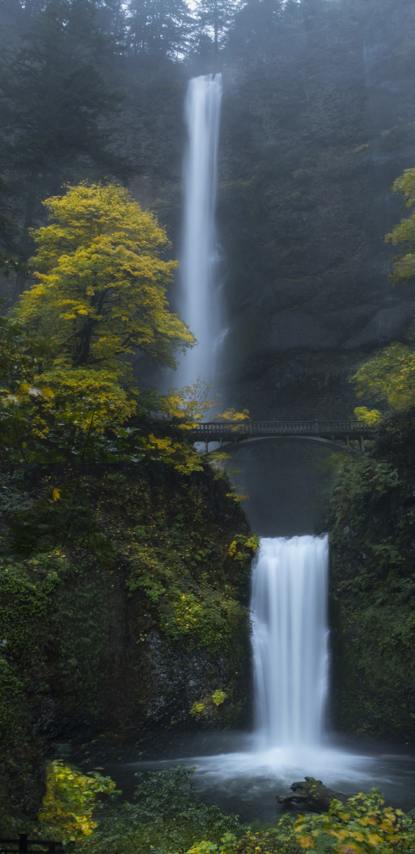 Wasserfall, Naturlandschaft, Wasserressourcen, Gewässer, Natur. Wallpaper in 1440x2960 Resolution