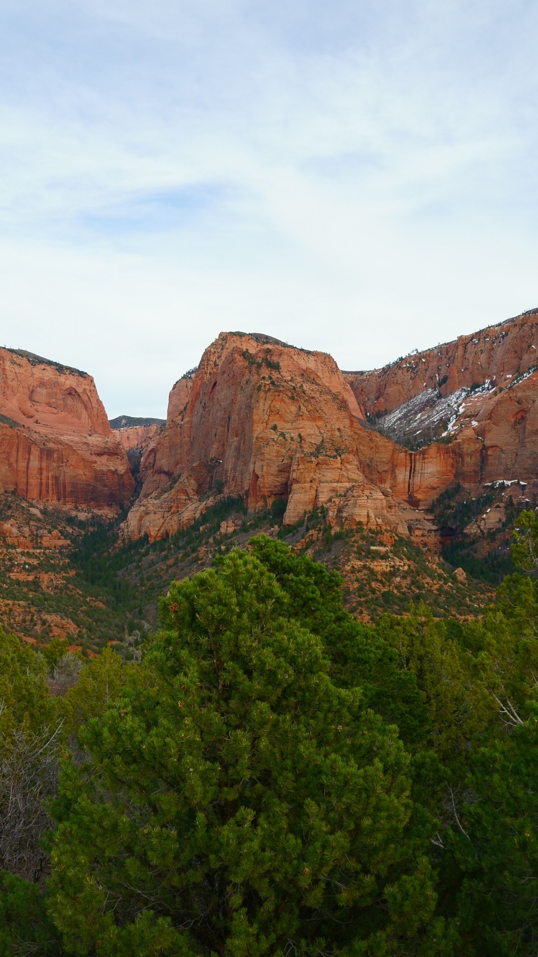 Green Trees Near Brown Rock Mountain During Daytime. Wallpaper in 1080x1920 Resolution