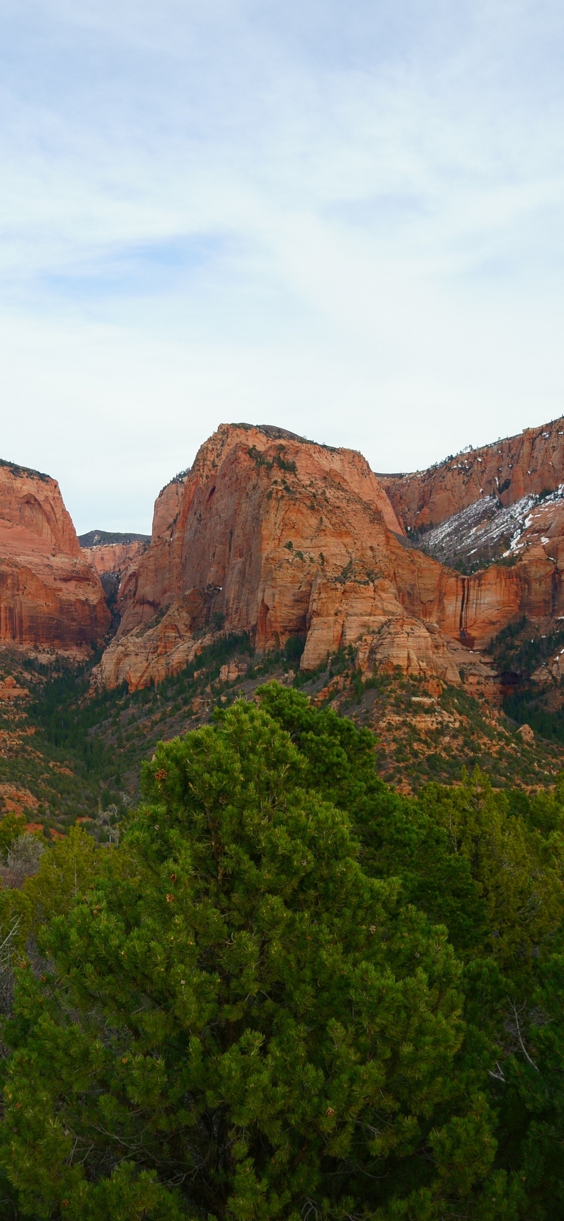 Green Trees Near Brown Rock Mountain During Daytime. Wallpaper in 1125x2436 Resolution