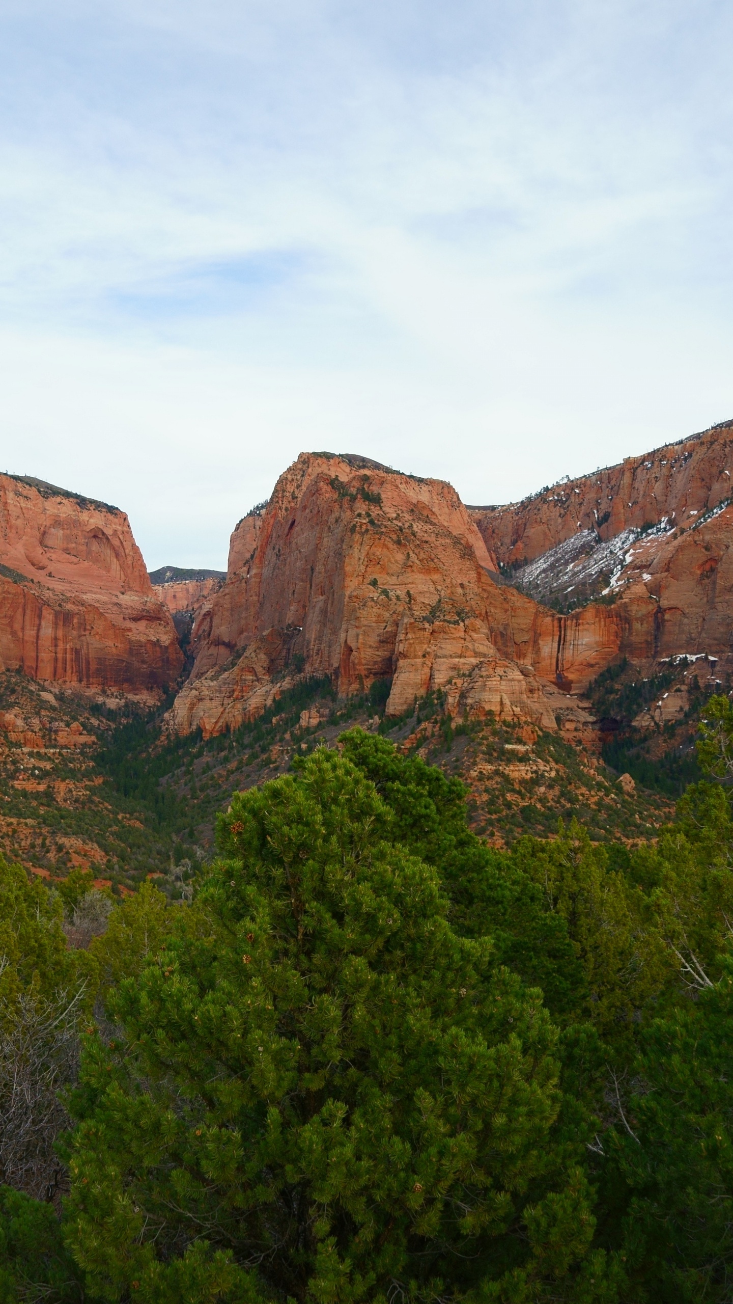 Green Trees Near Brown Rock Mountain During Daytime. Wallpaper in 1440x2560 Resolution