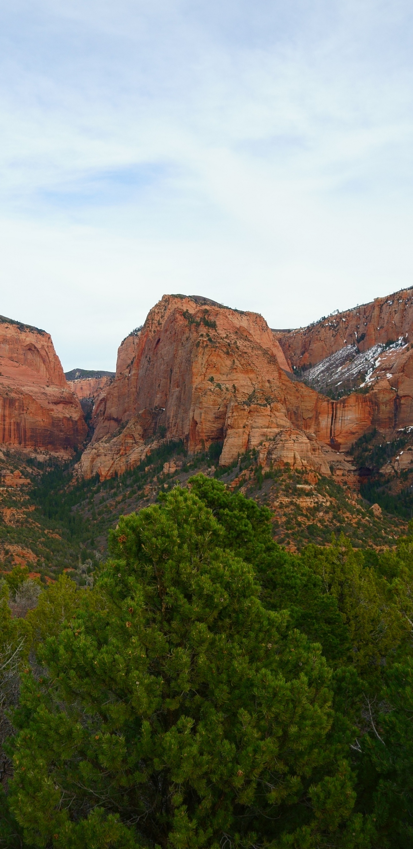 Green Trees Near Brown Rock Mountain During Daytime. Wallpaper in 1440x2960 Resolution