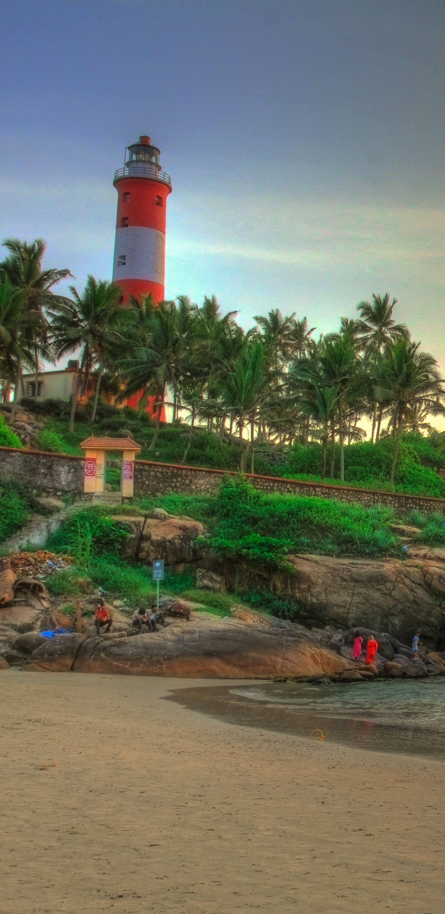 Palmeras de Coco Verde en la Playa Durante la Puesta de Sol. Wallpaper in 1440x2960 Resolution