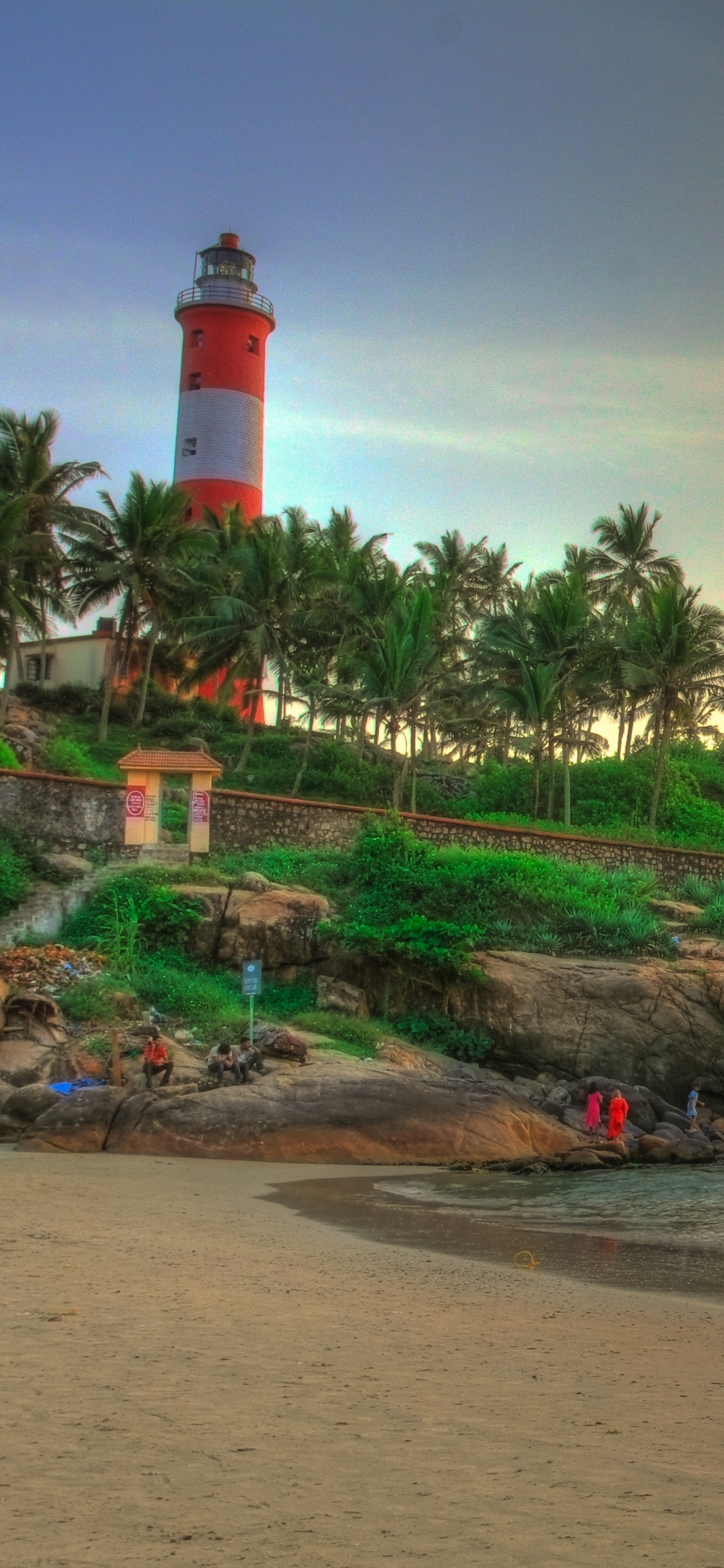 Green Coconut Palm Trees on Beach During Sunset. Wallpaper in 1125x2436 Resolution