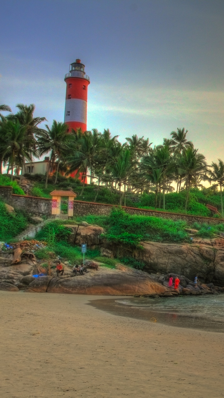 Green Coconut Palm Trees on Beach During Sunset. Wallpaper in 720x1280 Resolution