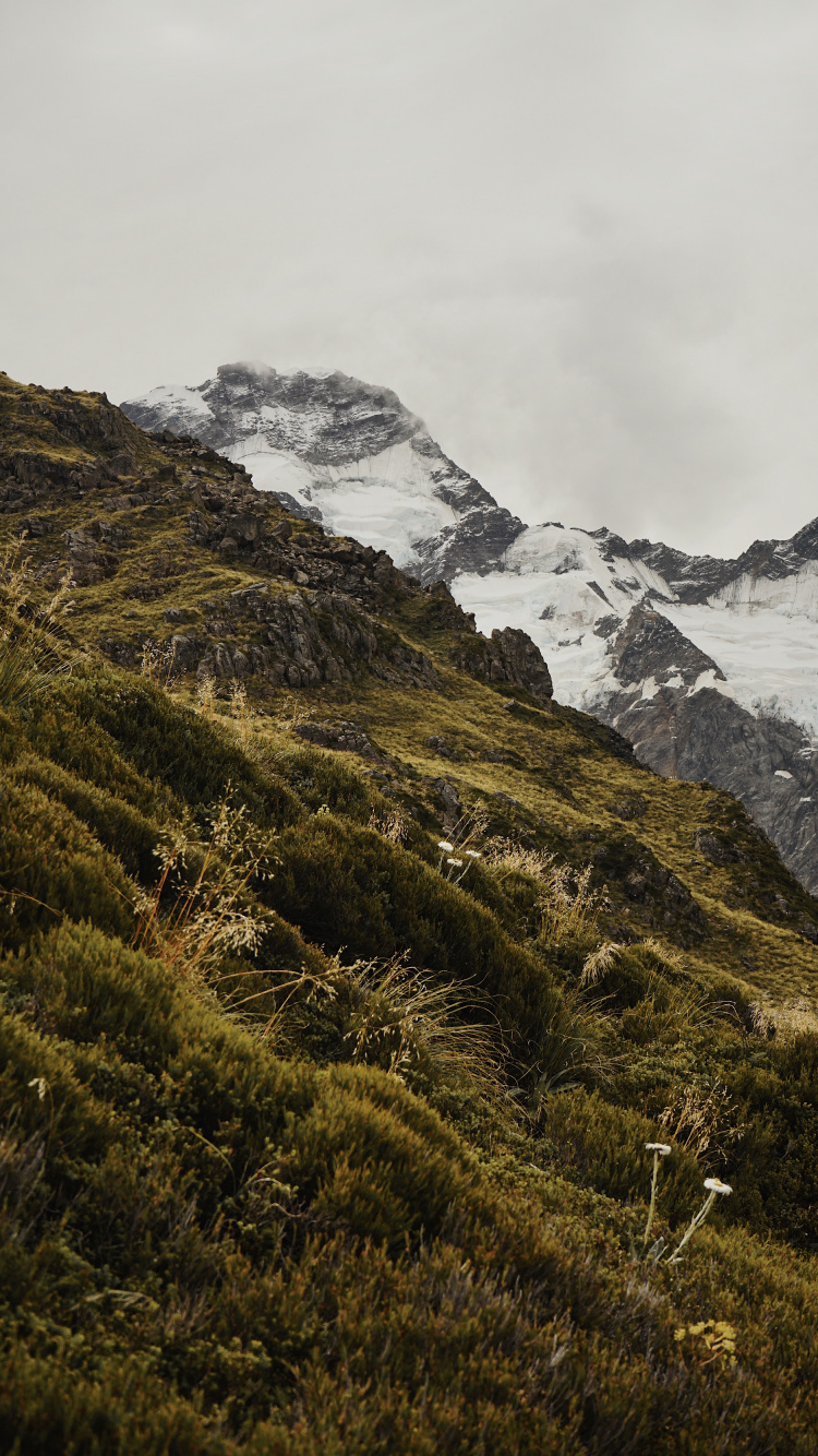 Grat, Ste, Aoraki Mount Cook, Nationalpark, Fiel. Wallpaper in 750x1334 Resolution