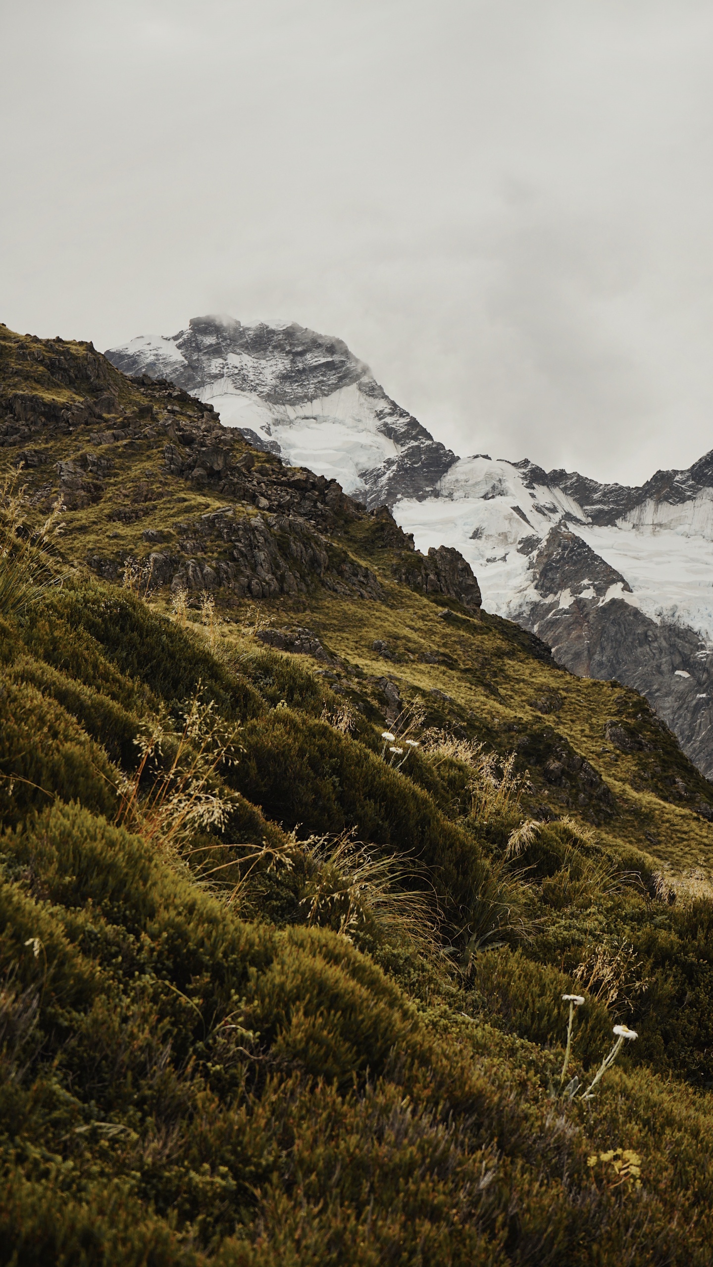Ridge, Desert, Aoraki Mount Cook, National Park, Fell. Wallpaper in 1440x2560 Resolution