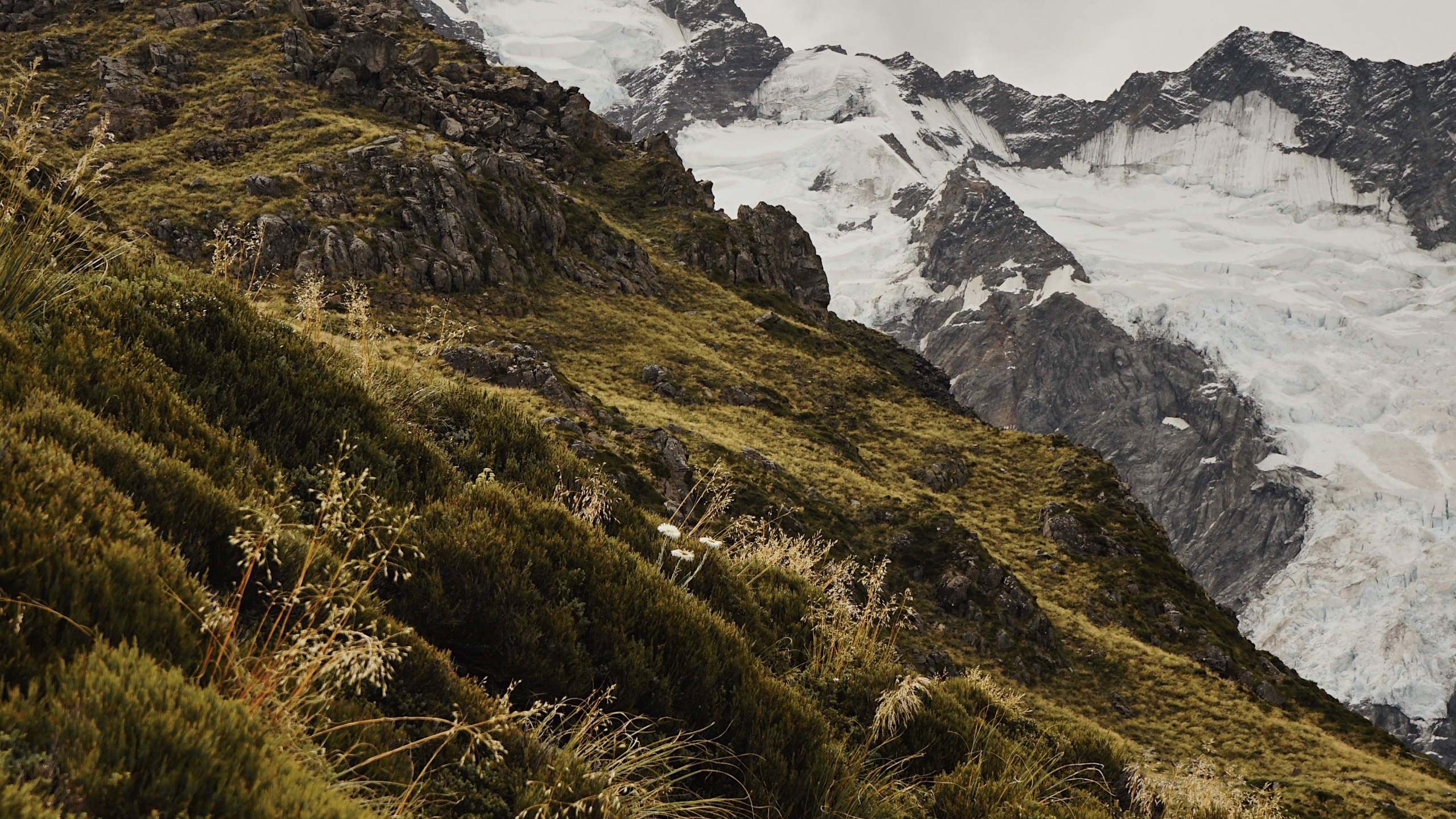 Ridge, Desert, Aoraki Mount Cook, National Park, Fell. Wallpaper in 2560x1440 Resolution