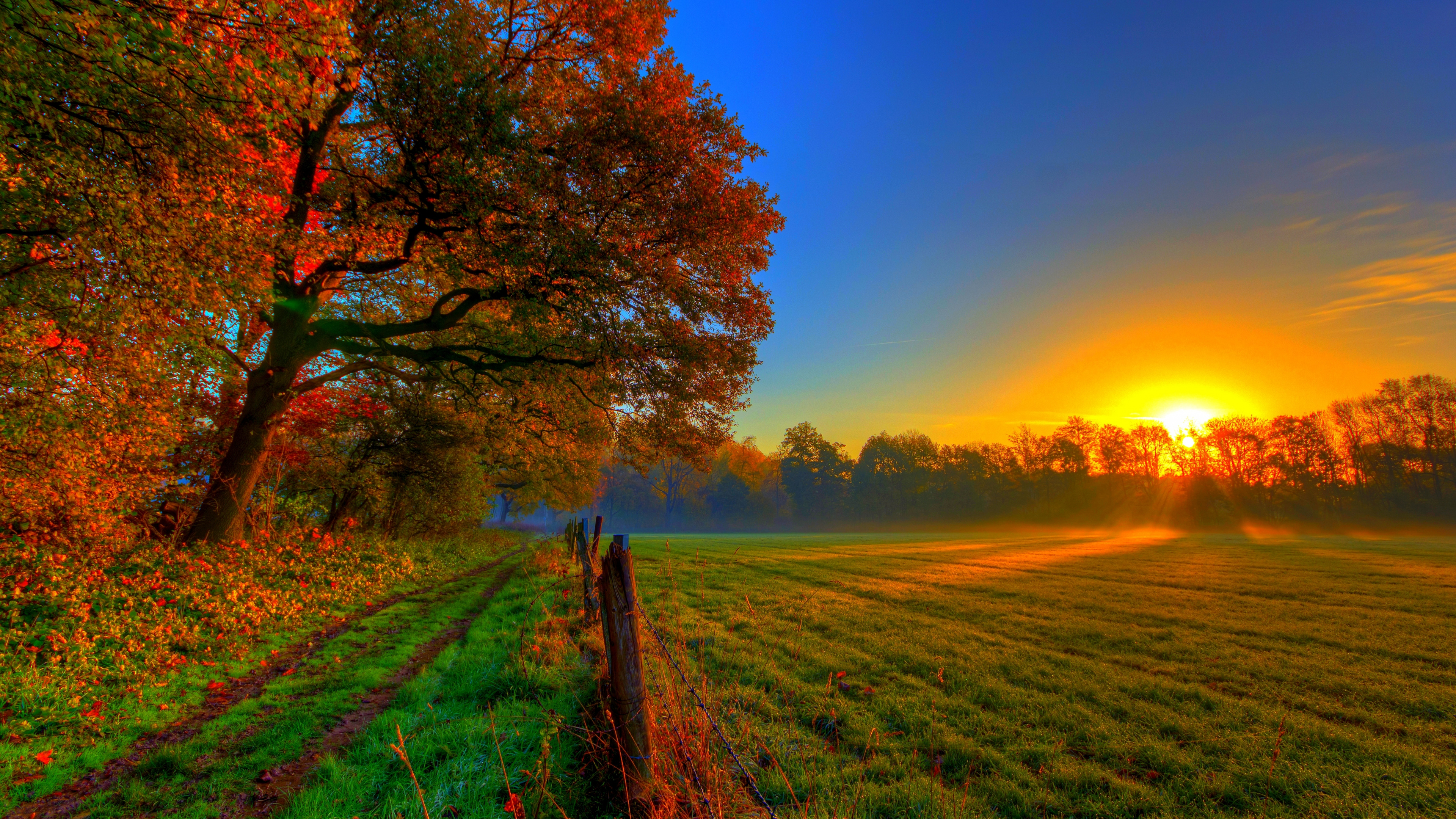 Champ D'herbe Verte Avec Des Arbres Pendant le Coucher du Soleil. Wallpaper in 3840x2160 Resolution