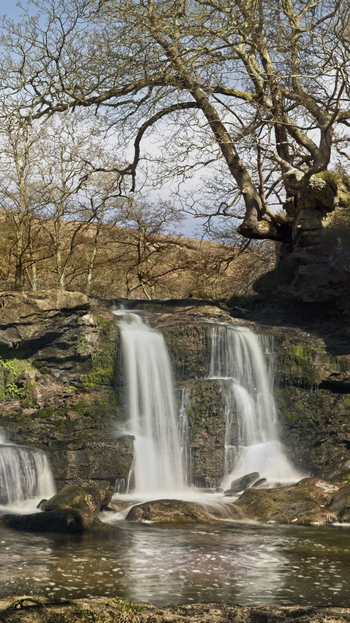 Water Falls in The Middle of The Woods. Wallpaper in 720x1280 Resolution