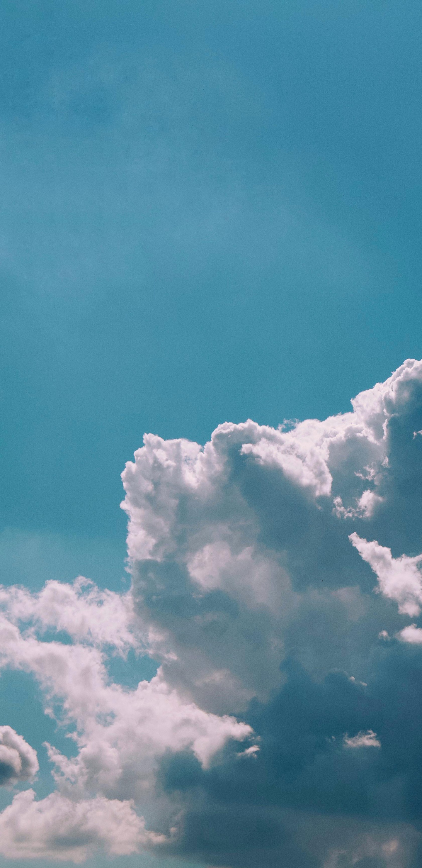 Ambiente, Azul, Azure, Cumulus, Calma. Wallpaper in 1440x2960 Resolution