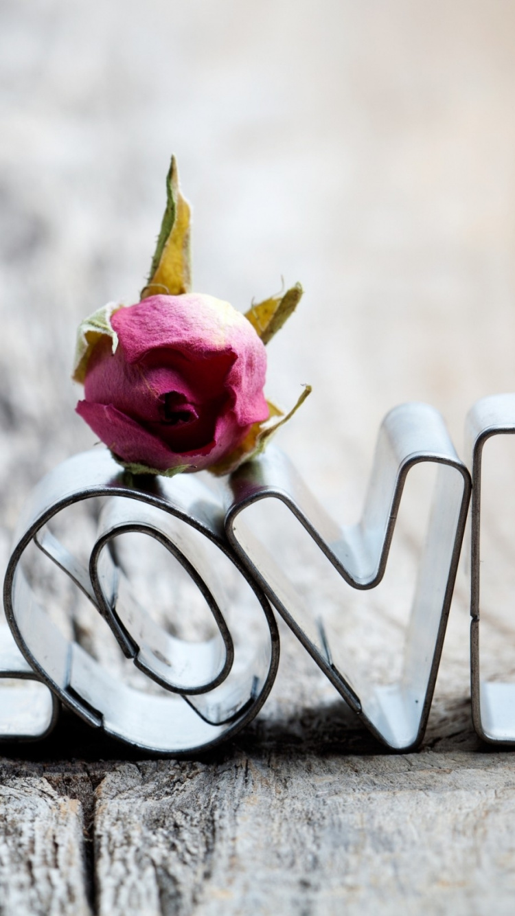 Pink, Love, Valentines Day, Romance, Propose Day. Wallpaper in 750x1334 Resolution