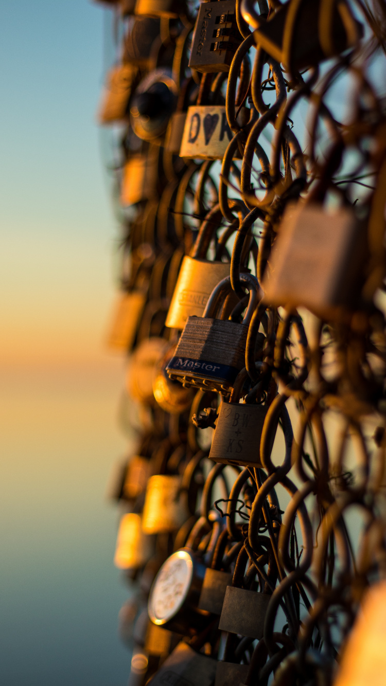 Padlock on Chain Link Fence During Sunset. Wallpaper in 750x1334 Resolution