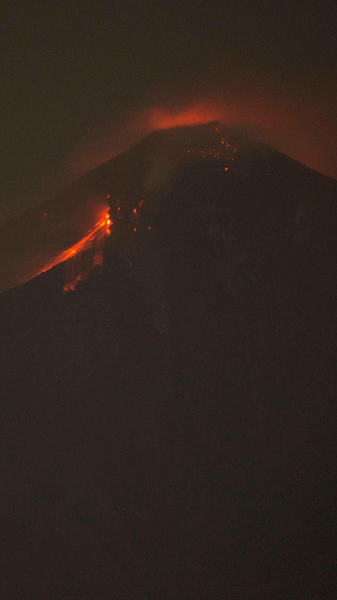 Fuego en Medio Del Bosque. Wallpaper in 1080x1920 Resolution