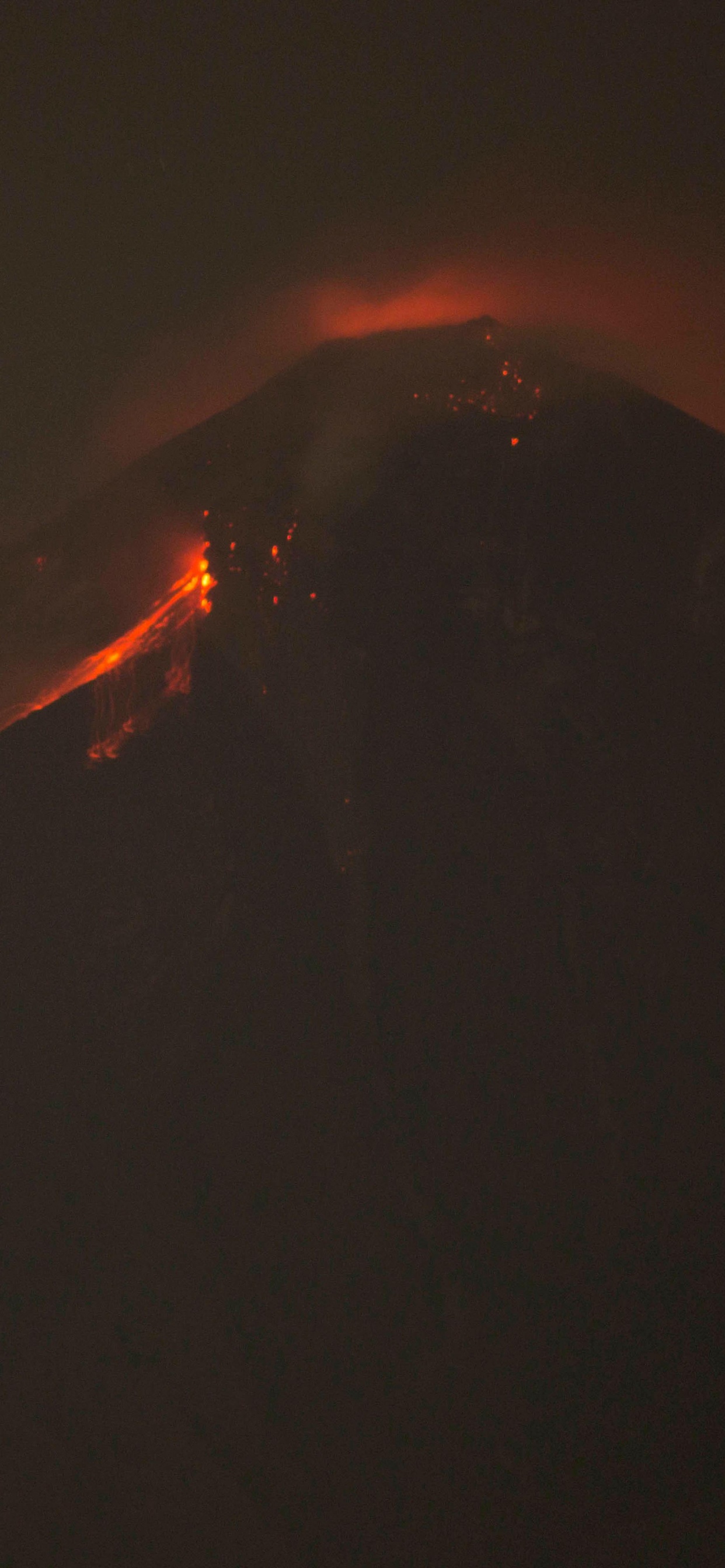 Fuego en Medio Del Bosque. Wallpaper in 1242x2688 Resolution