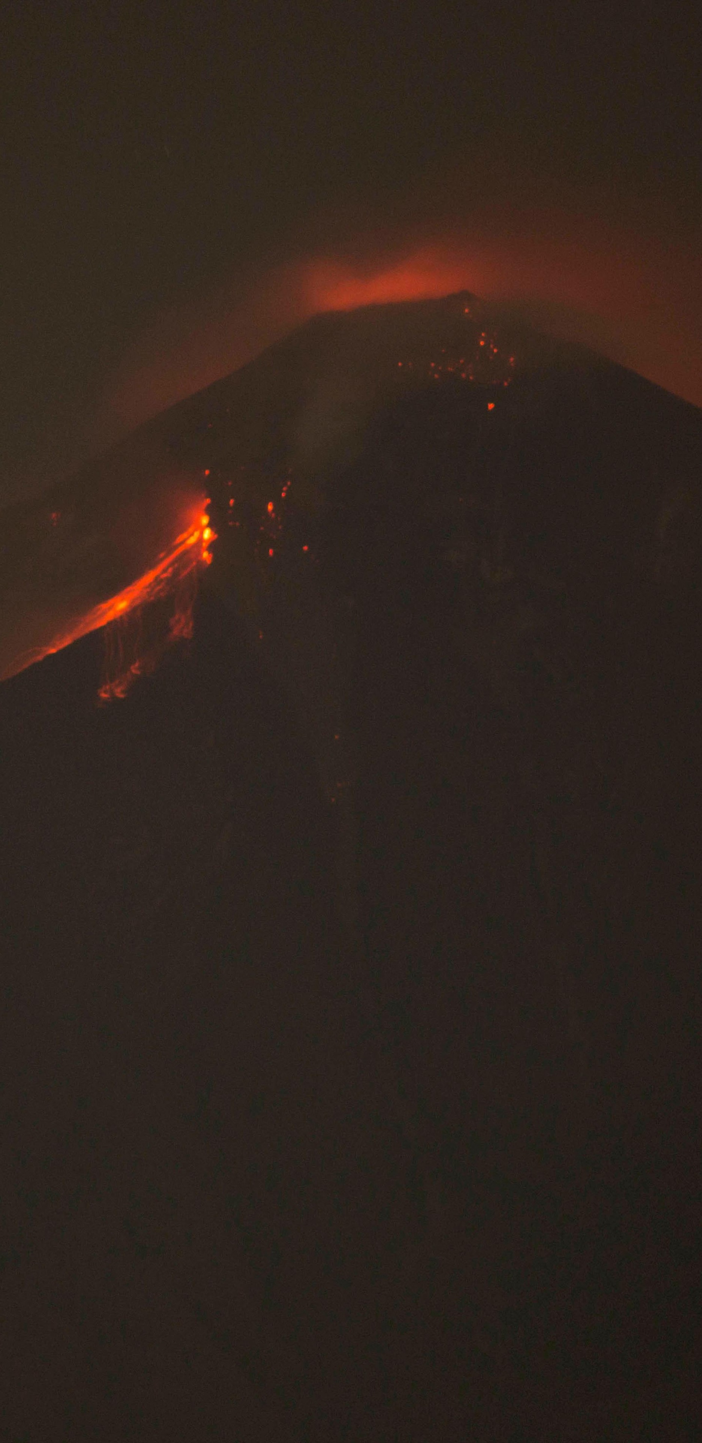 Fuego en Medio Del Bosque. Wallpaper in 1440x2960 Resolution