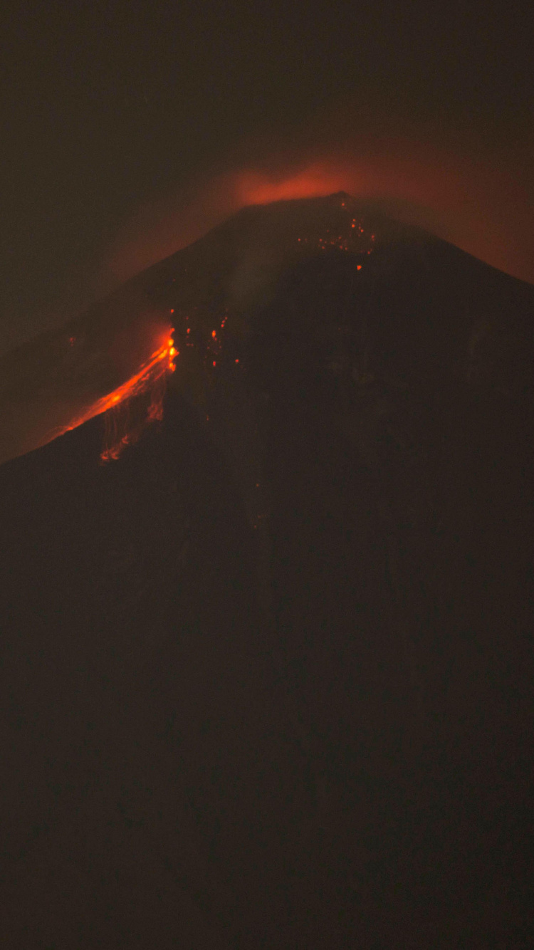 Fuego en Medio Del Bosque. Wallpaper in 750x1334 Resolution