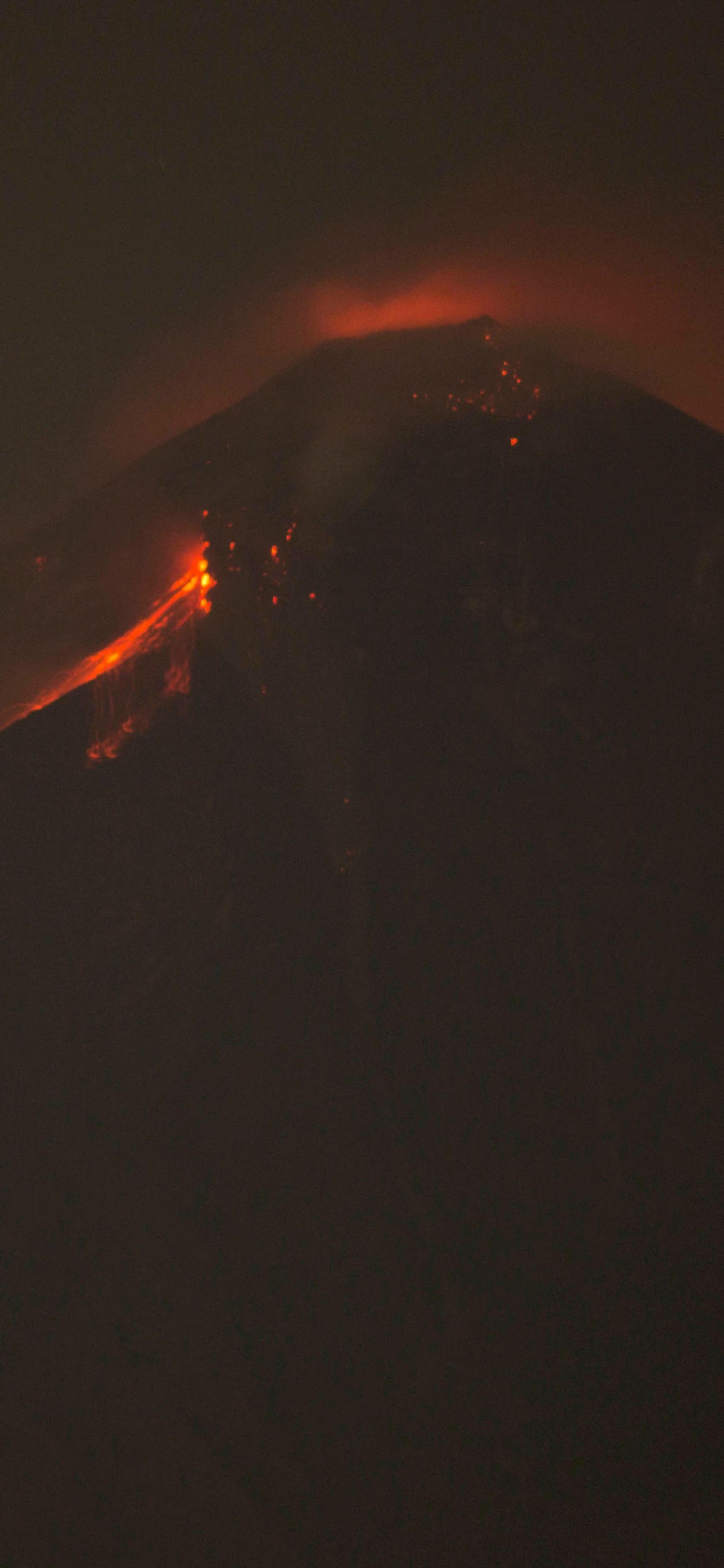 Feuer Mitten im Wald. Wallpaper in 1125x2436 Resolution