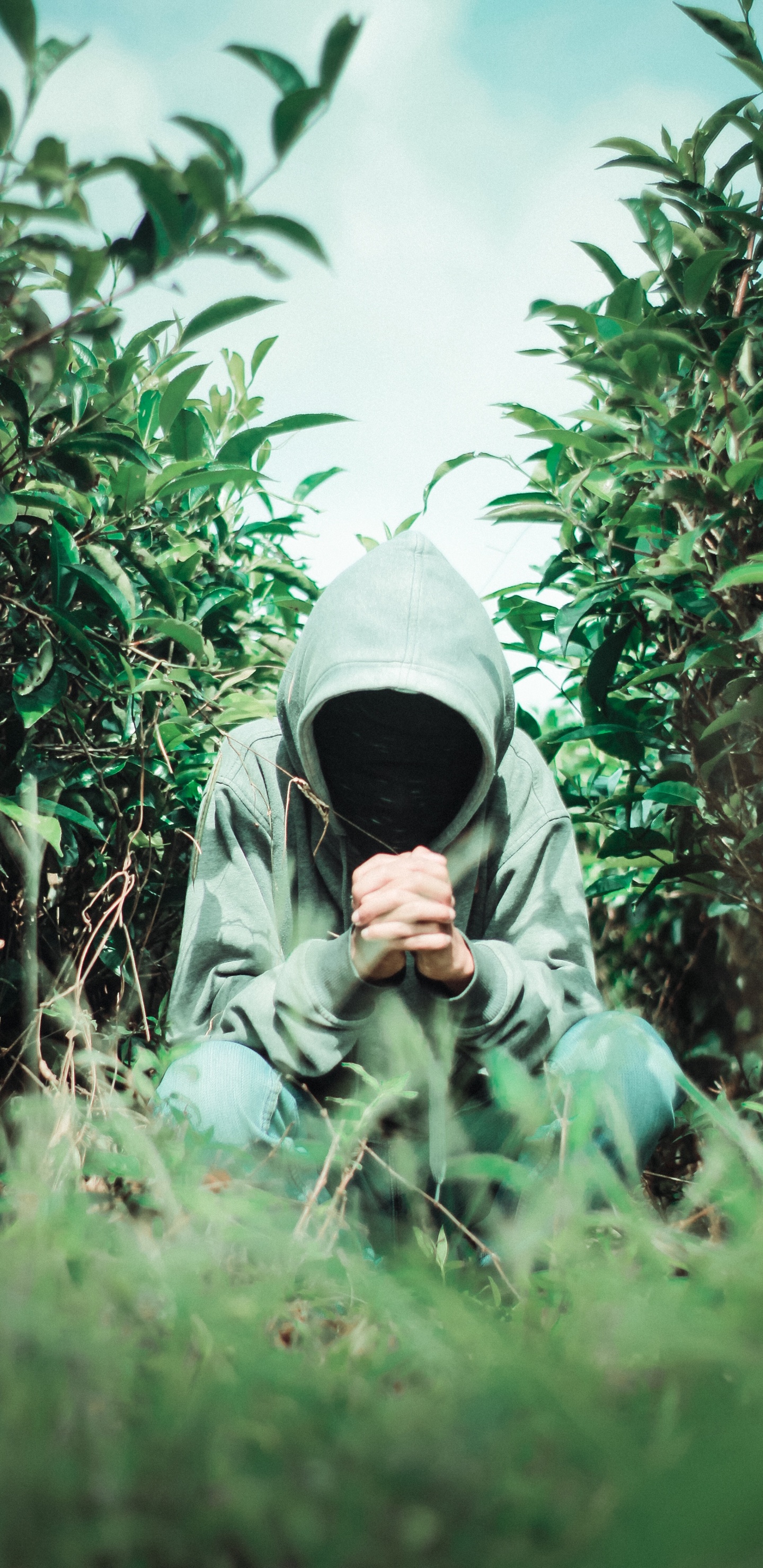 Homme en Sweat à Capuche Gris Debout Sur un Terrain D'herbe Verte. Wallpaper in 1440x2960 Resolution