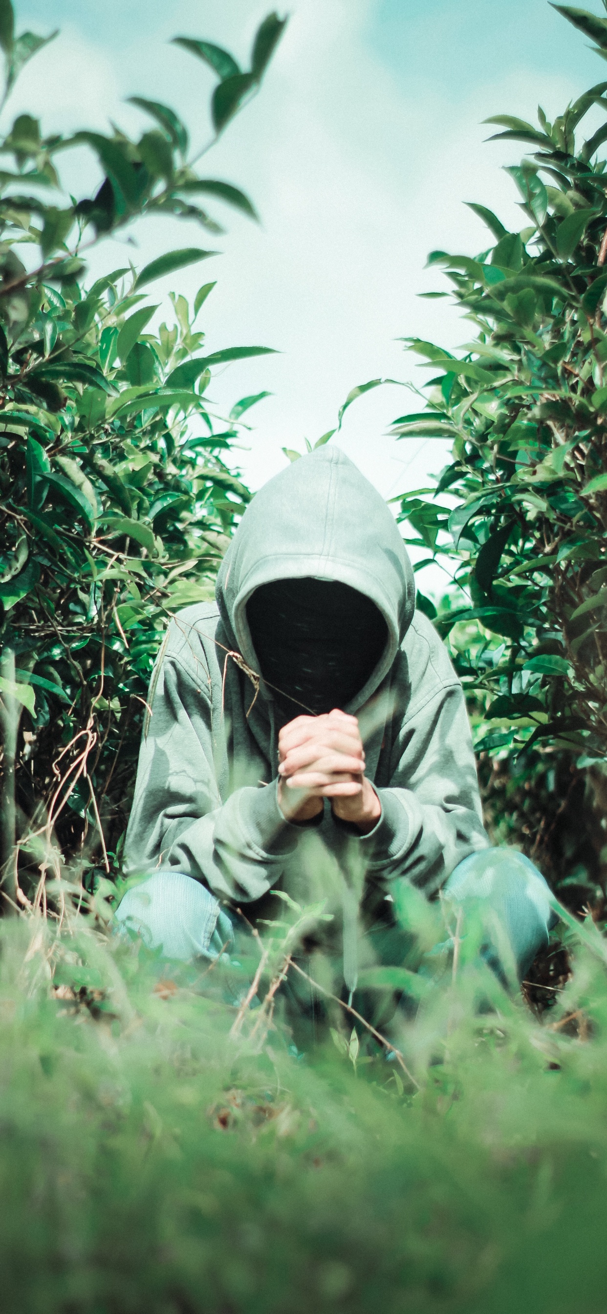 Mann im Grauen Hoodie, Der Auf Grüner Wiese Steht. Wallpaper in 1242x2688 Resolution