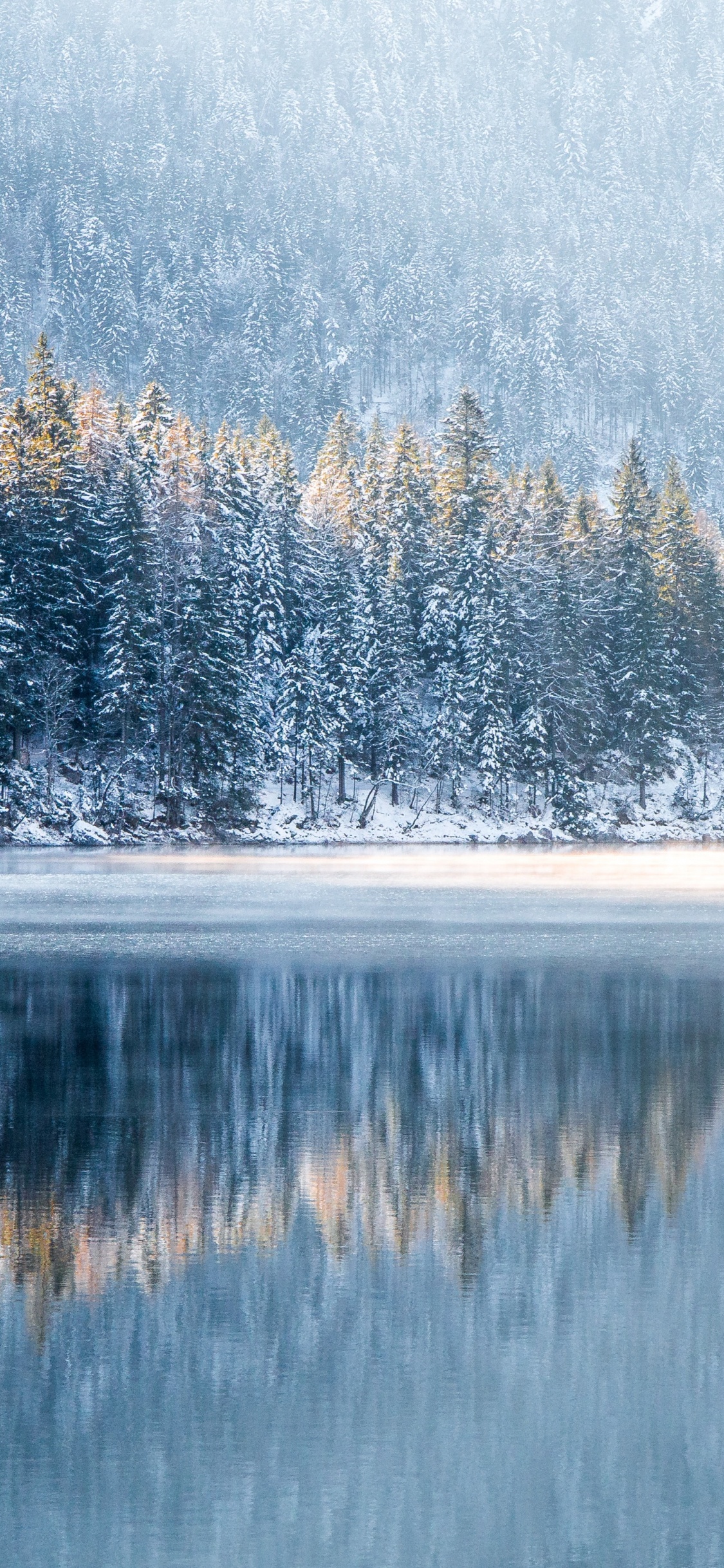 Invierno, Agua, Los Recursos de Agua, Paisaje Natural, Sucursal. Wallpaper in 1125x2436 Resolution