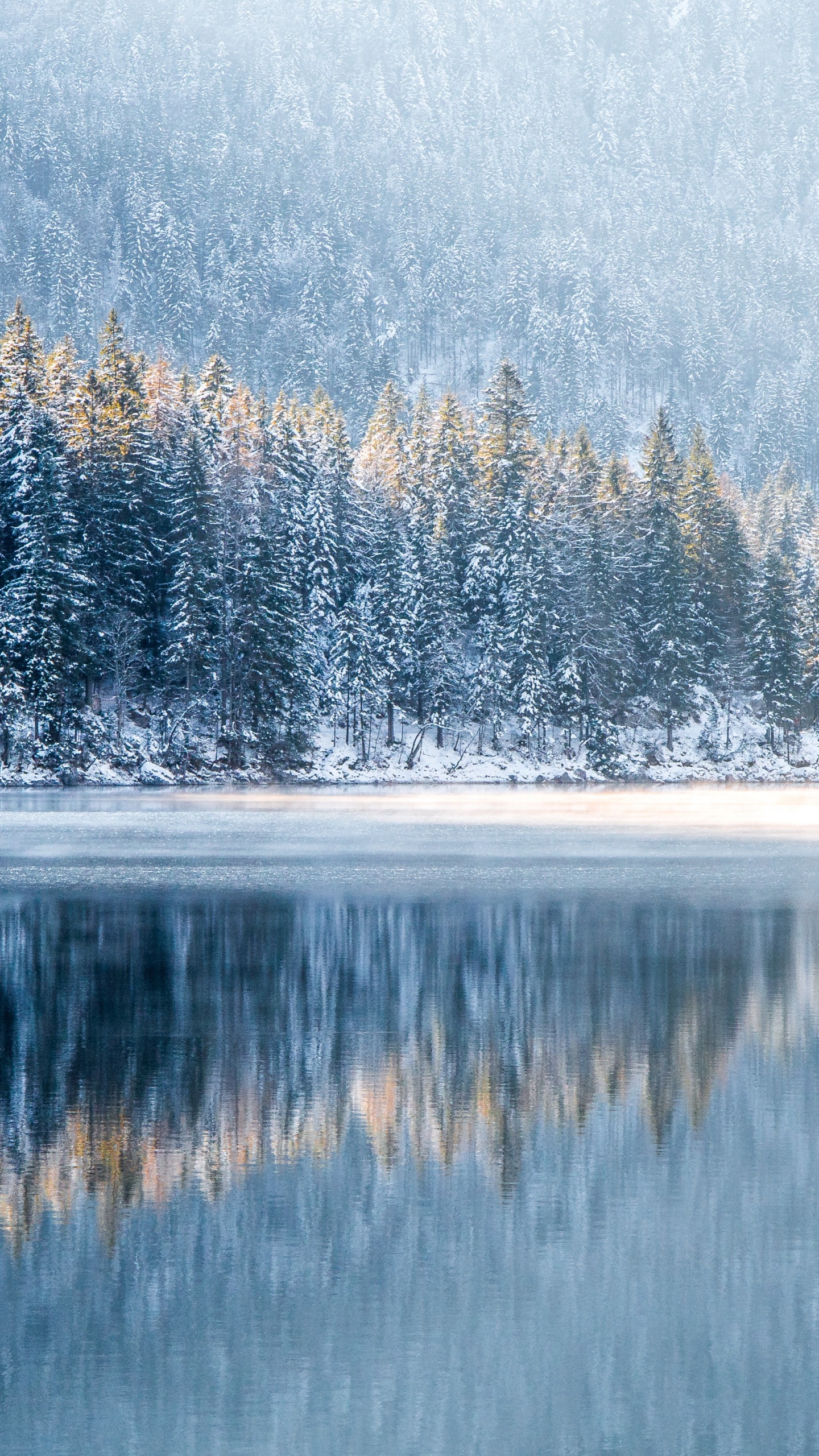 Winter, Water, Plant, Water Resources, Daytime. Wallpaper in 1440x2560 Resolution