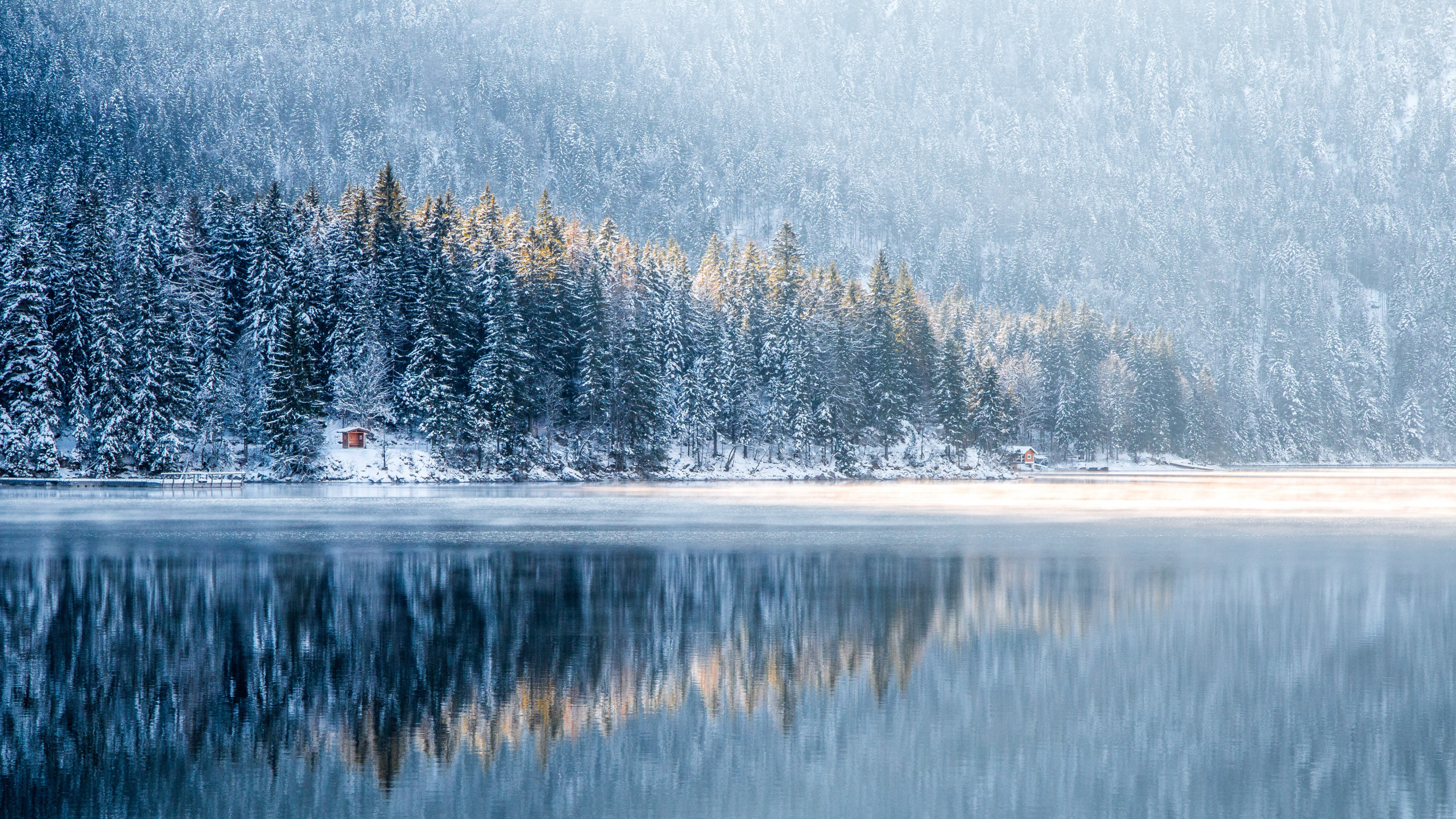Winter, Water, Plant, Water Resources, Daytime. Wallpaper in 2560x1440 Resolution