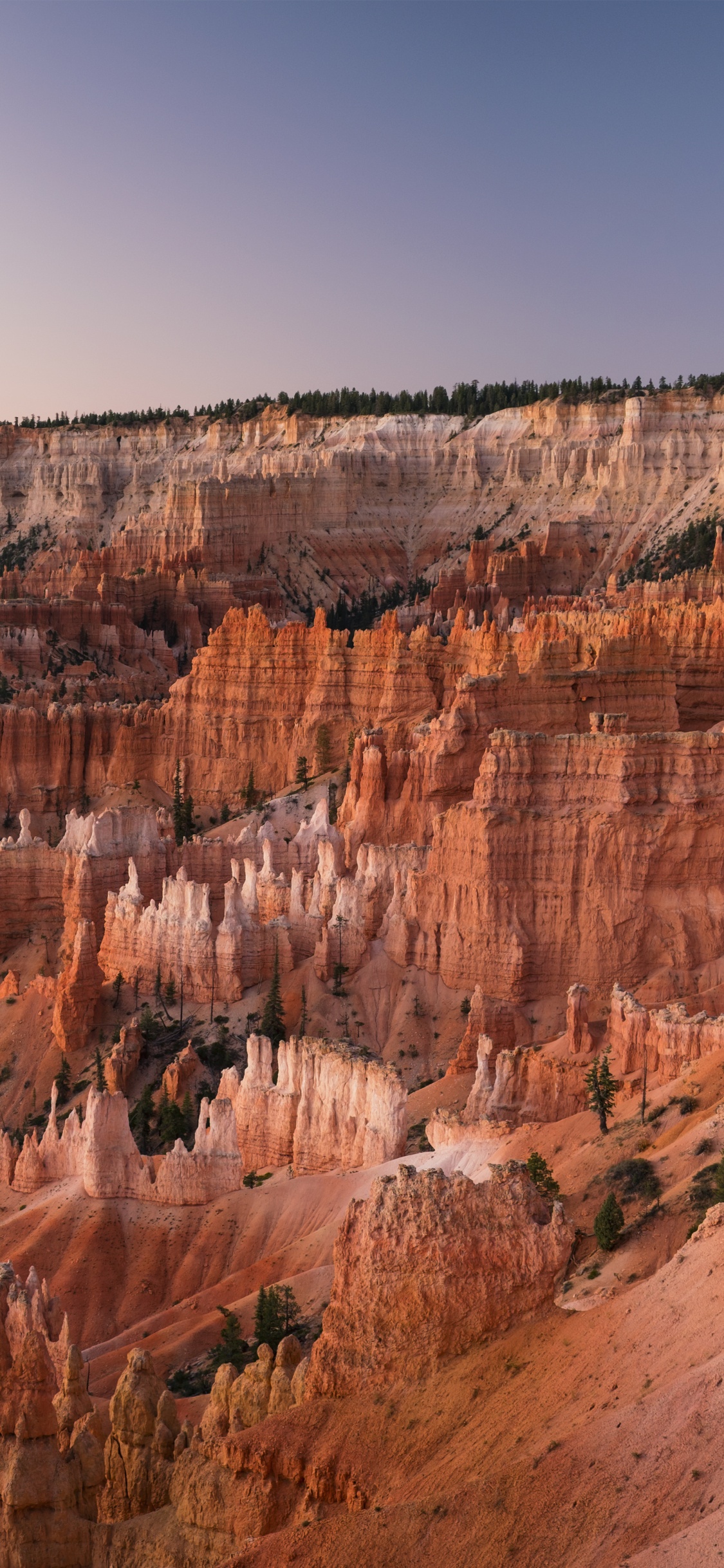 Grand Canyon National Park, Arches National Park, Sunrise Point, Grand Canyon, Canyonlands National Park. Wallpaper in 1125x2436 Resolution