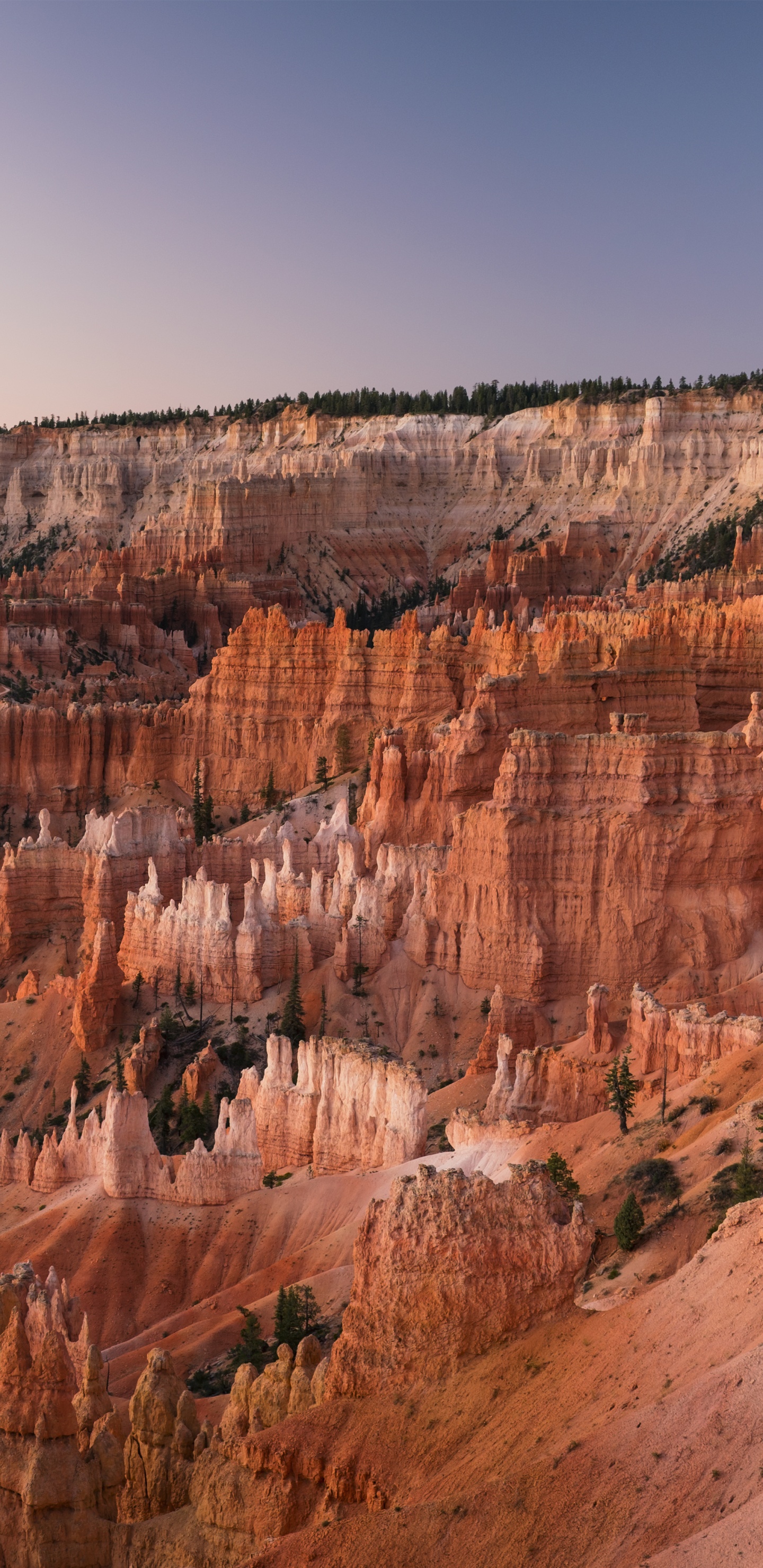 Grand Canyon National Park, Arches National Park, Sunrise Point, Grand Canyon, Canyonlands National Park. Wallpaper in 1440x2960 Resolution